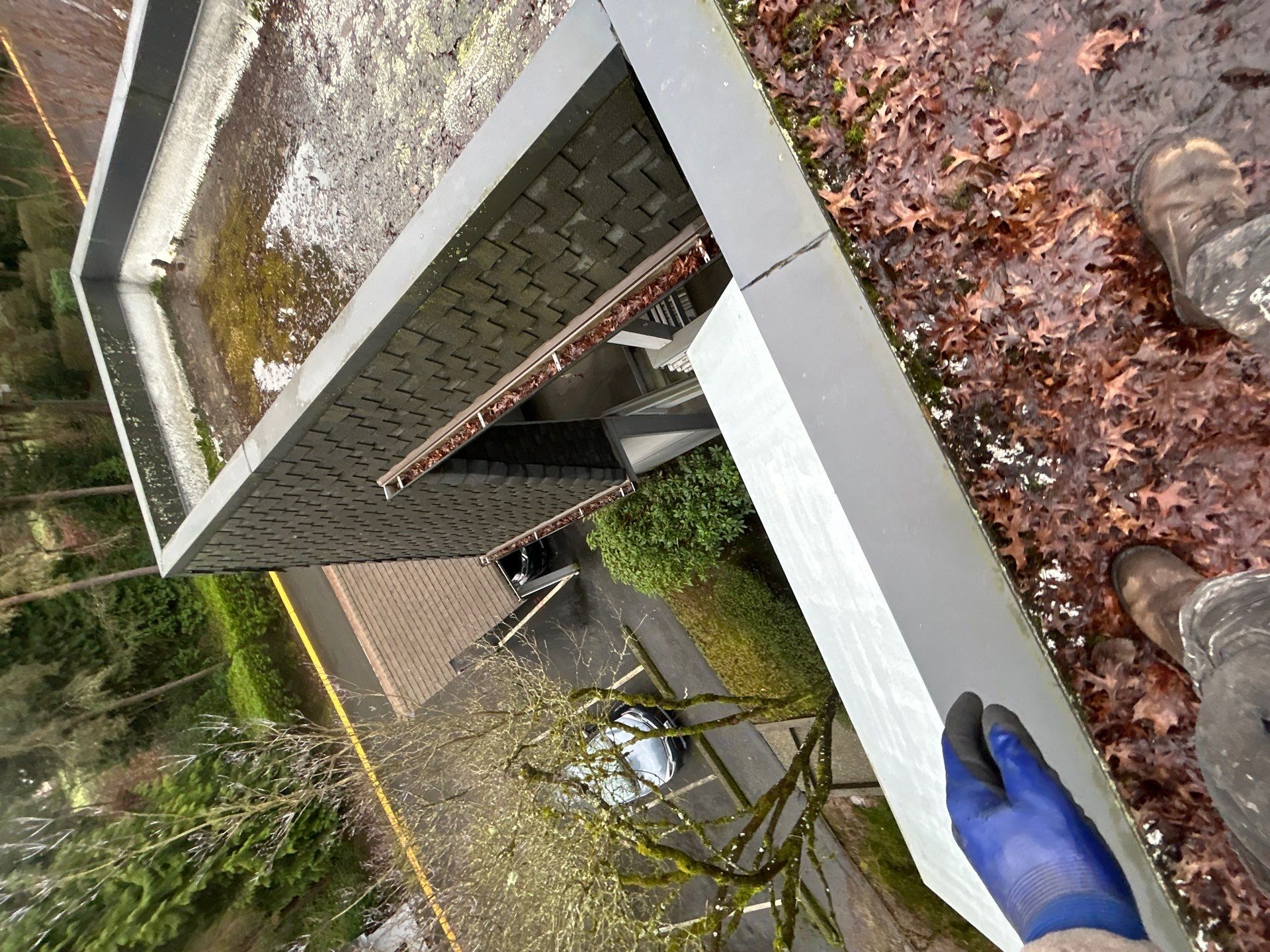Project in Kirkland by Peaks and Valleys Construction