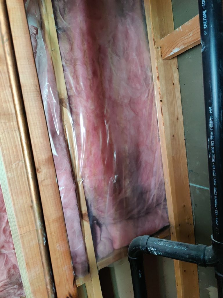 Mold Remediation  by Accountable Home Services