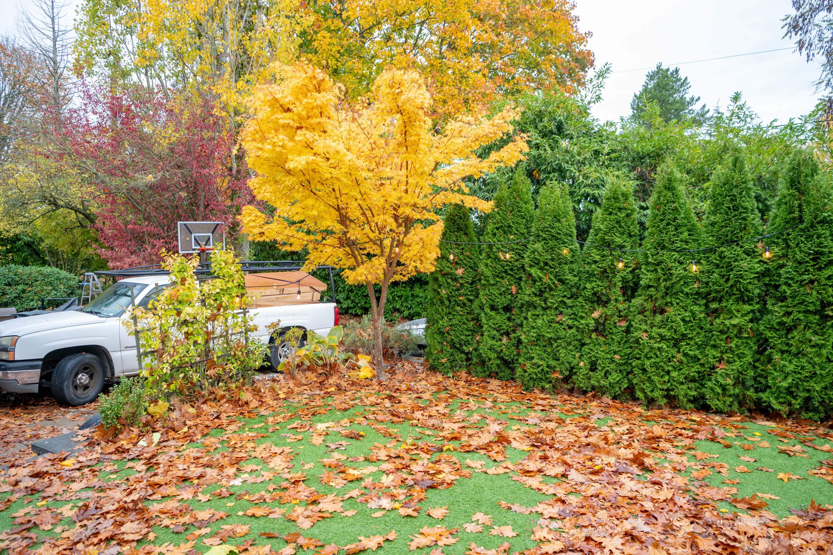 Fall and Spring Cleaning by Jireh Asphalt & Concrete Inc 