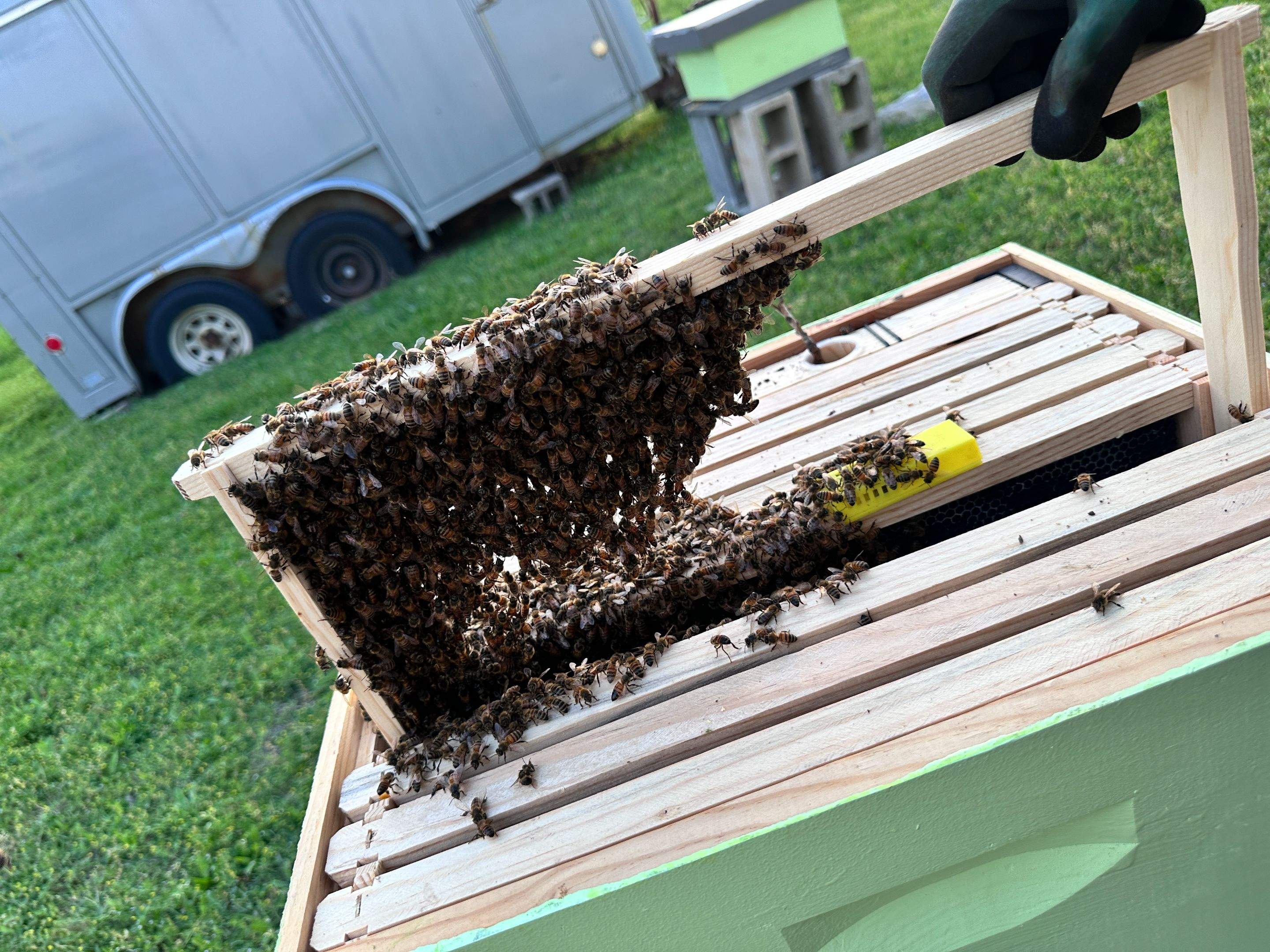 New Construction by Rockwall Honey Bee Company