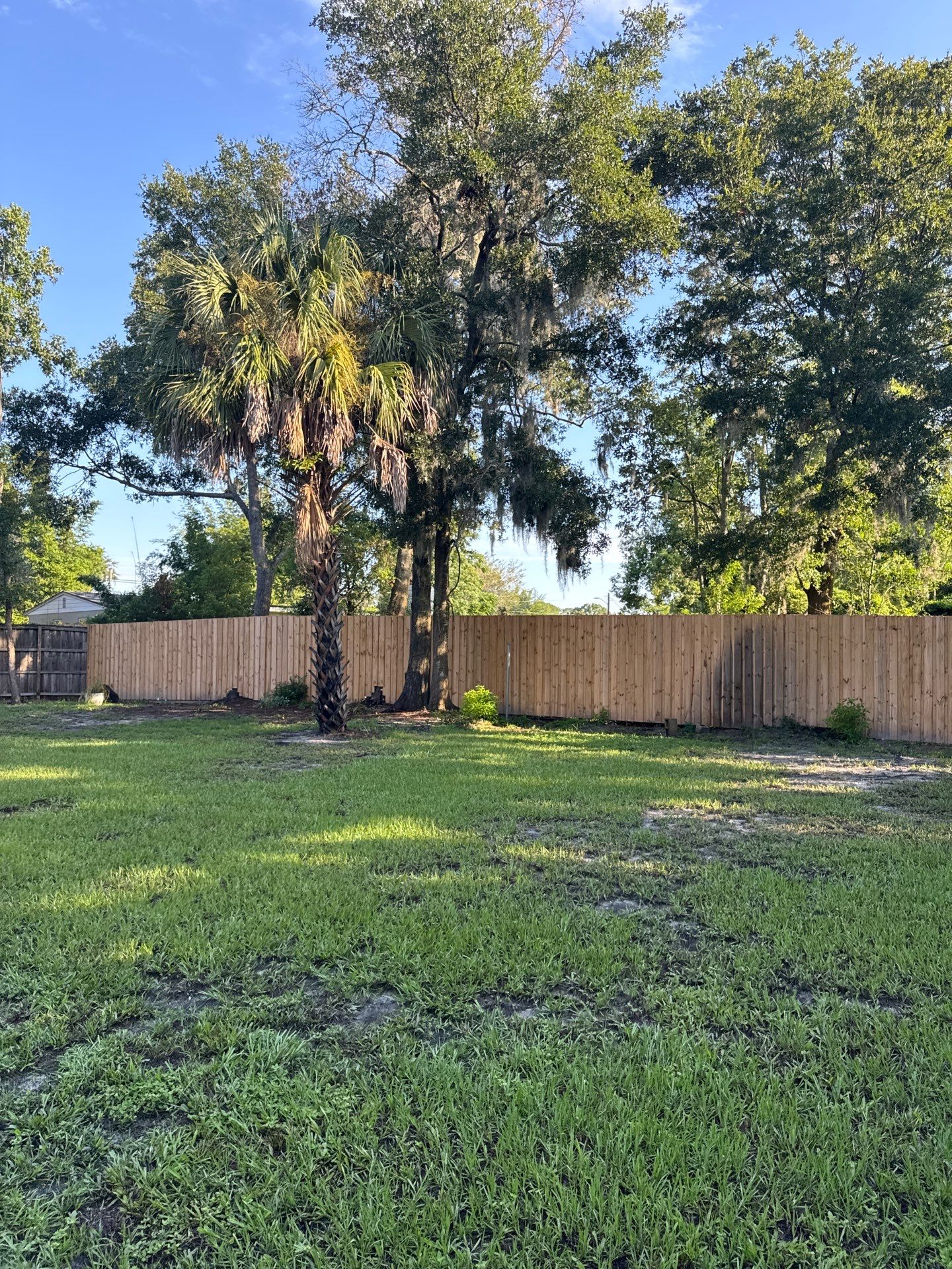 Residential | Tree Trimming  by ProGreen Services