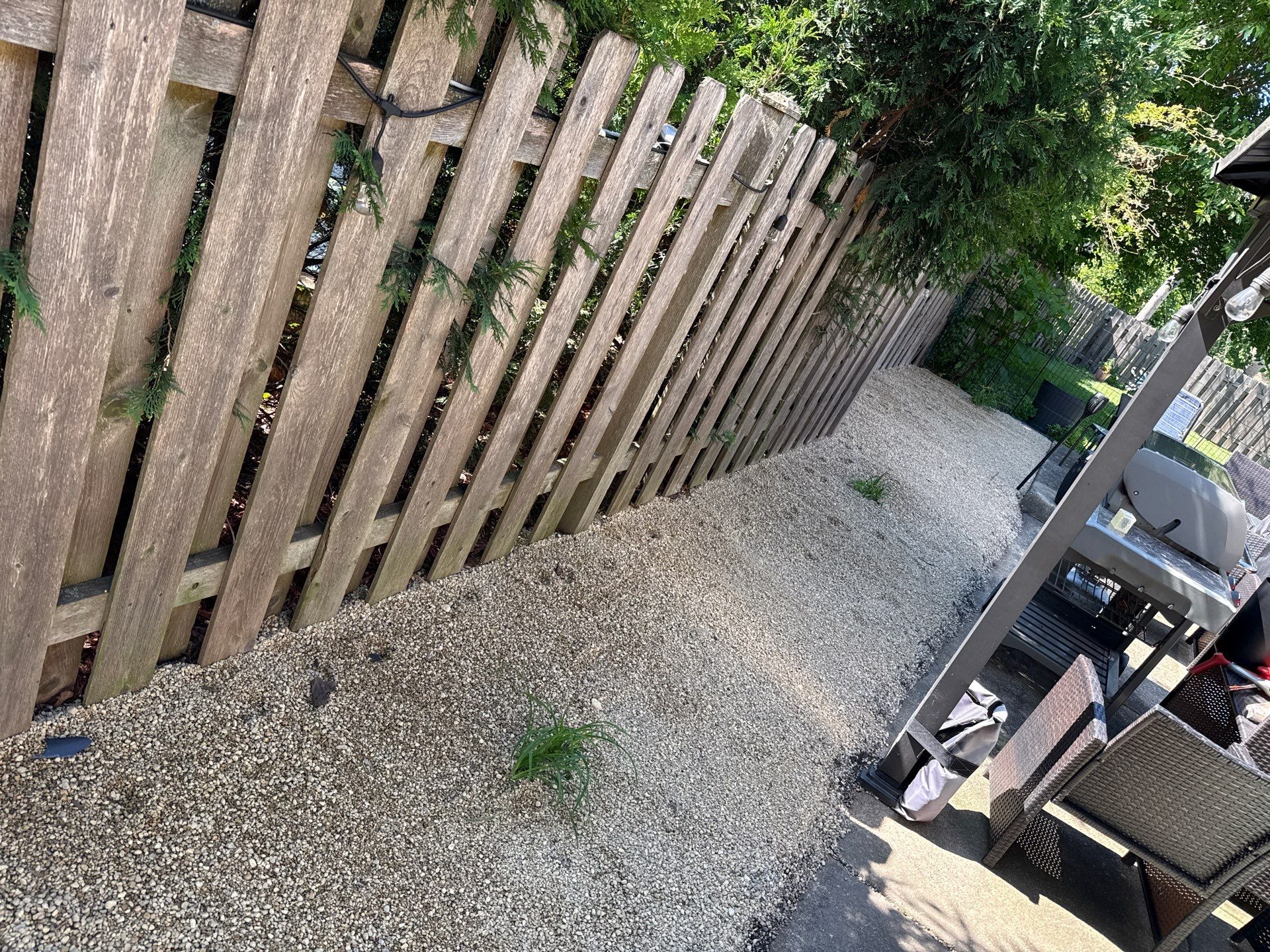 Amy N. - Arlington Heights, IL by A&N 
