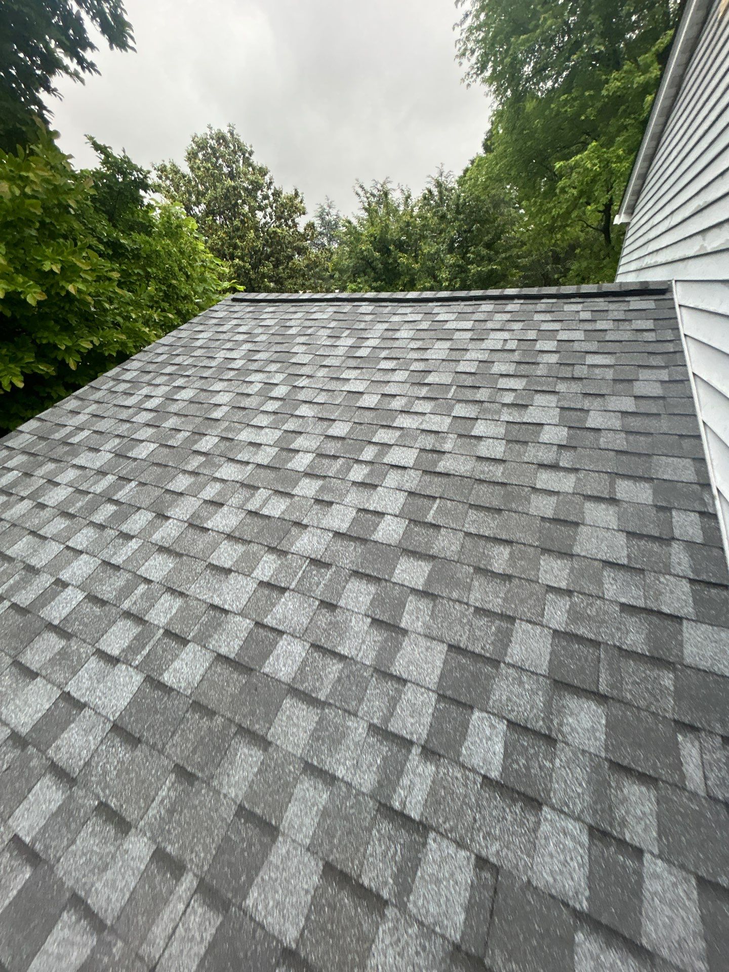 Alexandria: Residential Roof Replacement with CertainTeed Landmark Pro in Max Def Pewter by RM Banning, Inc.