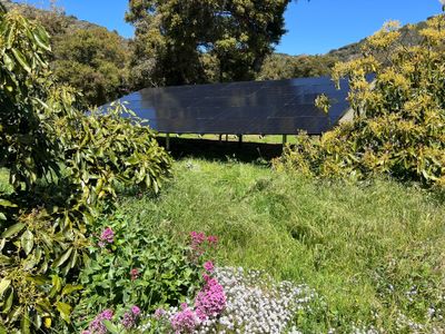 Groundmount Solar Cleaning by Sunrise 805