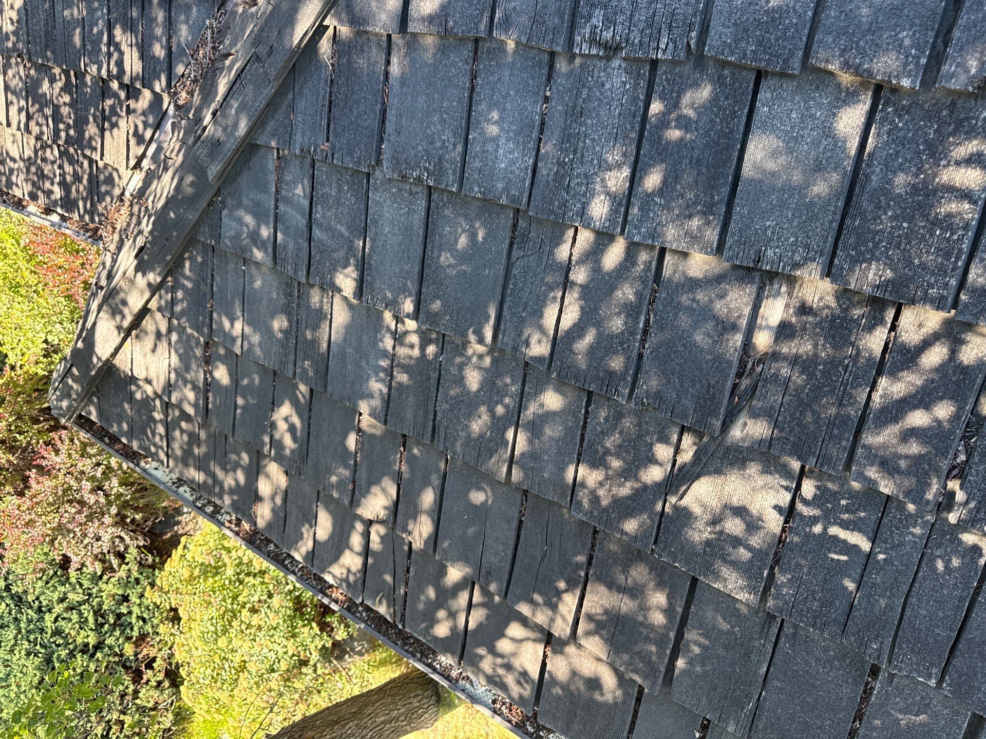 Cedar Shake to IKO Dynasty Shingle Roof Replacement in Boise by Olive Roofing