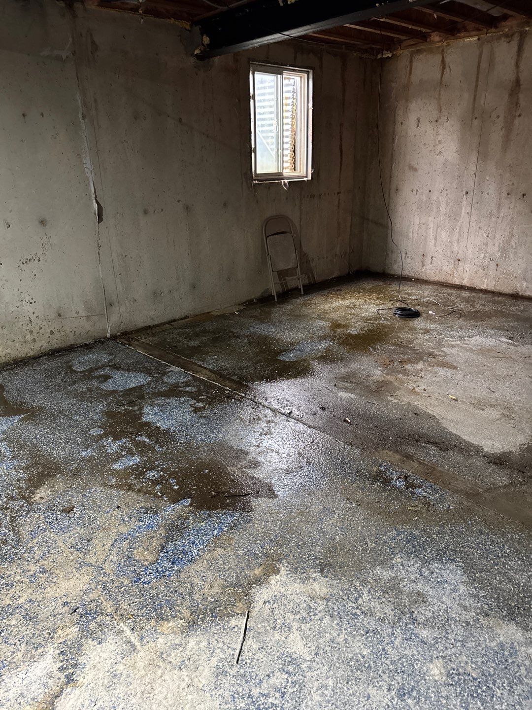 Project in Sterling Heights by EzDry Water Mitigation & Property Restoration