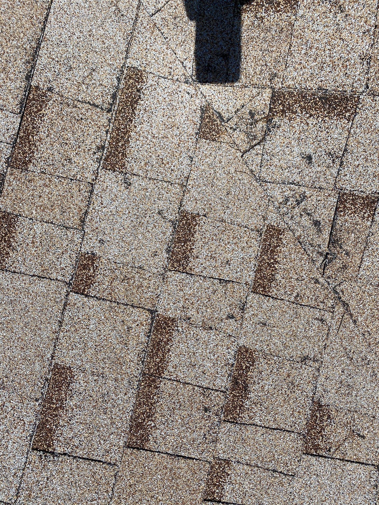 Sand Castle Shingles by Reimagine Roofing