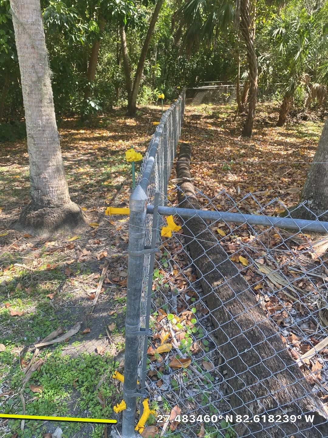 Bradenton, FL 6ft. Treated Board on Board Privacy Fence  by Asap fence and gates, LLC