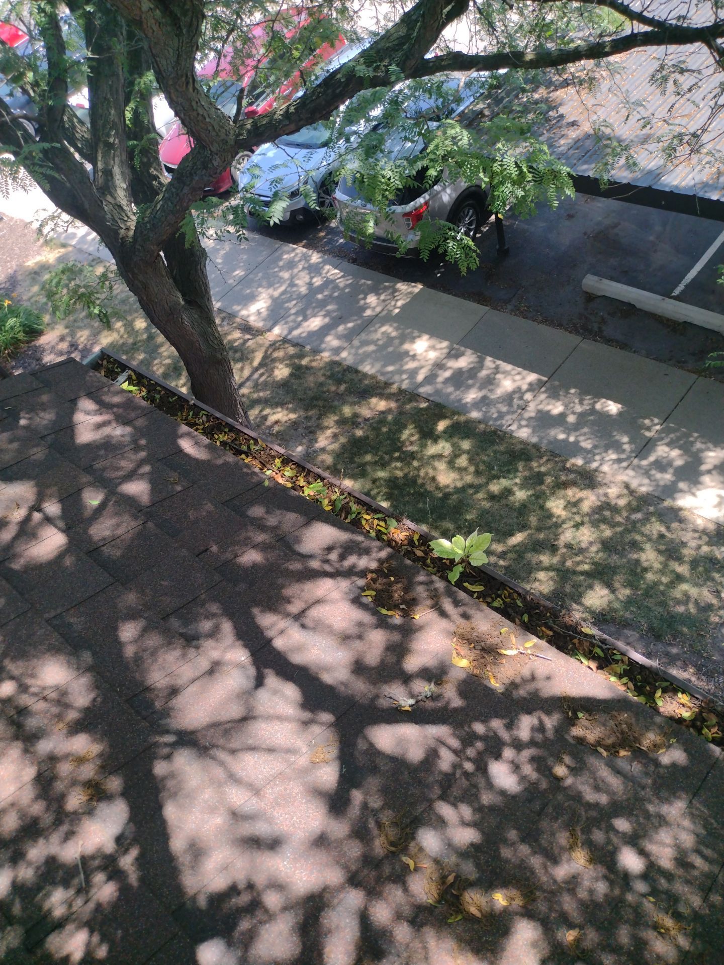 HOA gutter cleaning before photo