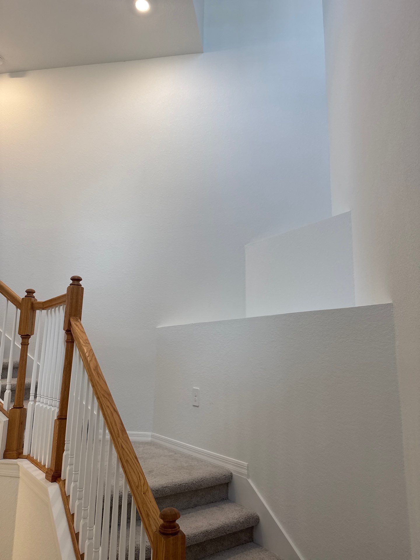 Interior Paint Venice by That 1 Painter