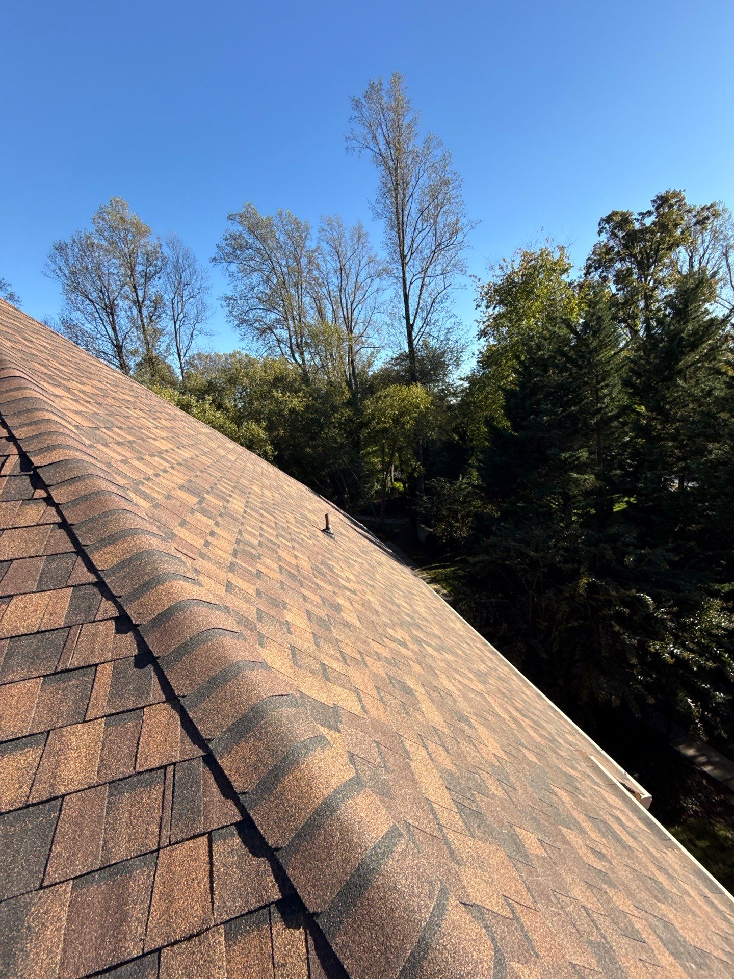 Great Falls : Residential Roof Replacement with CertainTeed Landmark Pro in Max Def Burnt Sienna  by RM Banning, Inc.