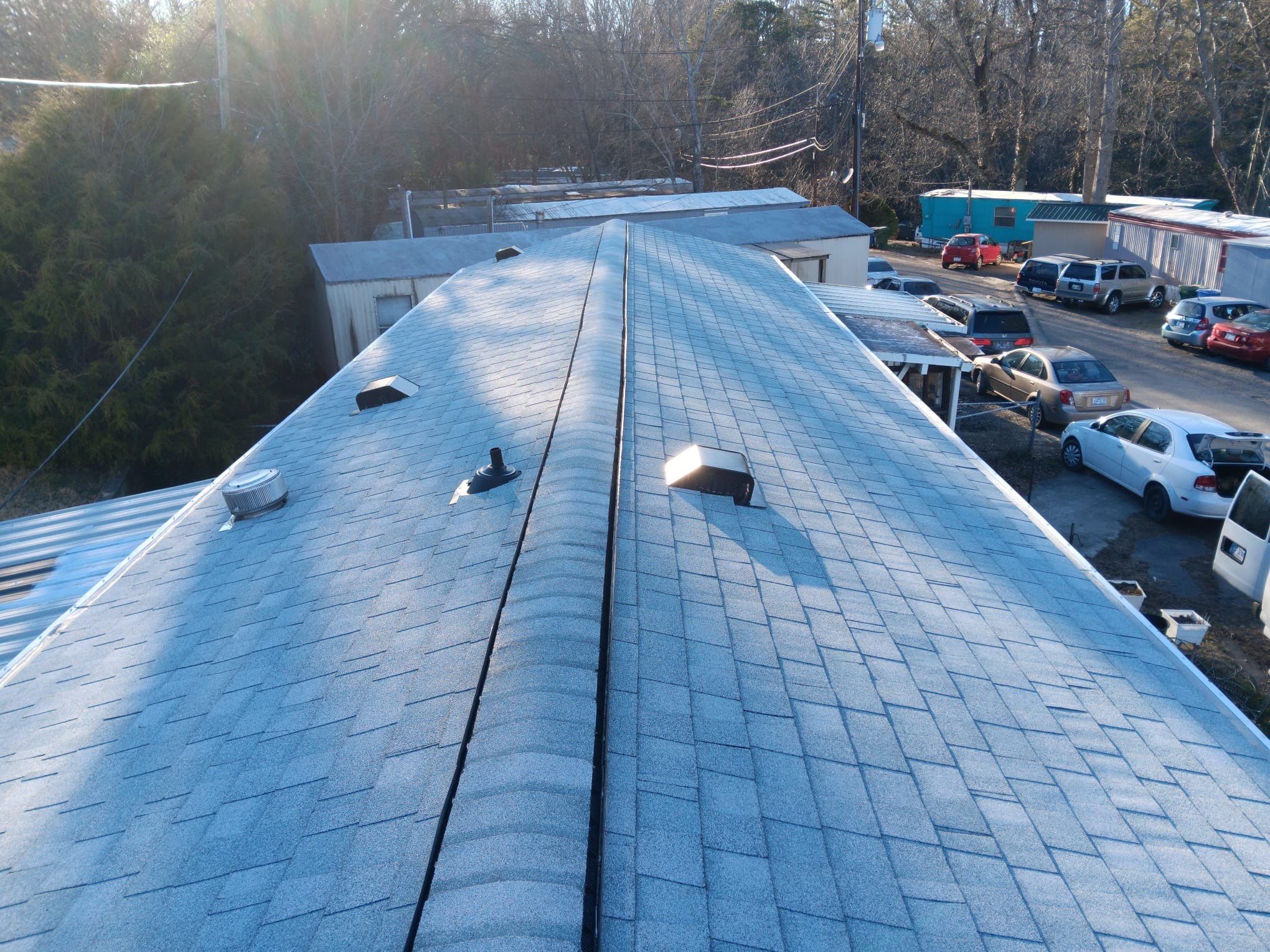 Silver Birch by John McClung Roofing