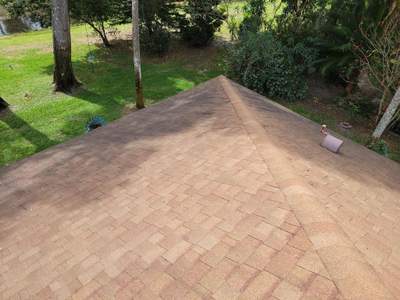 Shingle Reroof Replacement Port orange FL