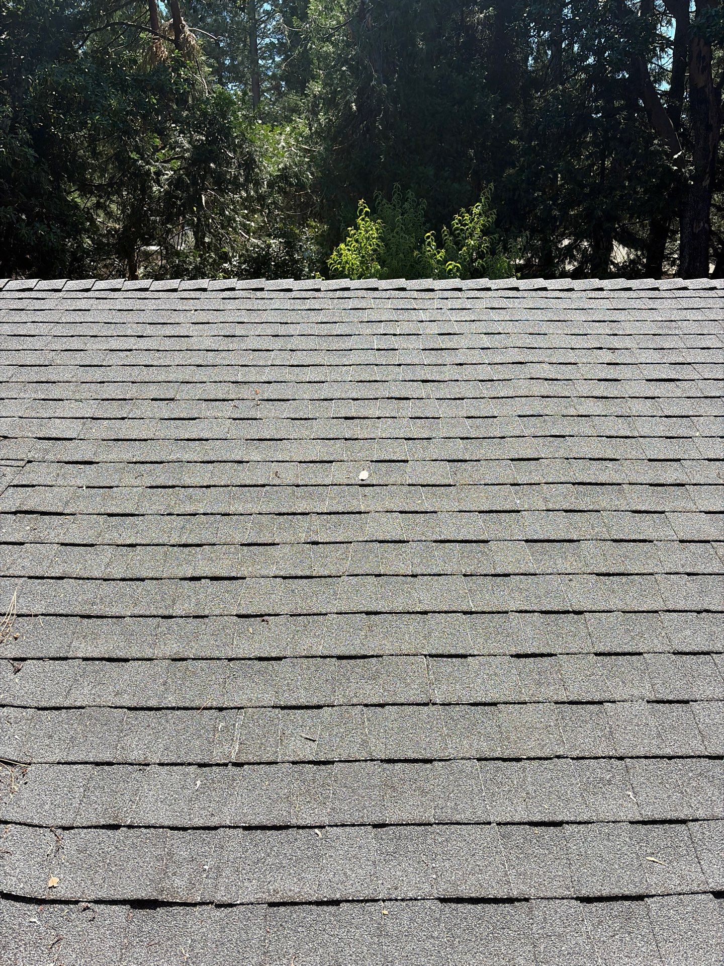 Roof Rejuvenation using Roof Maxx Treatment by Roof Maxx of Folsom