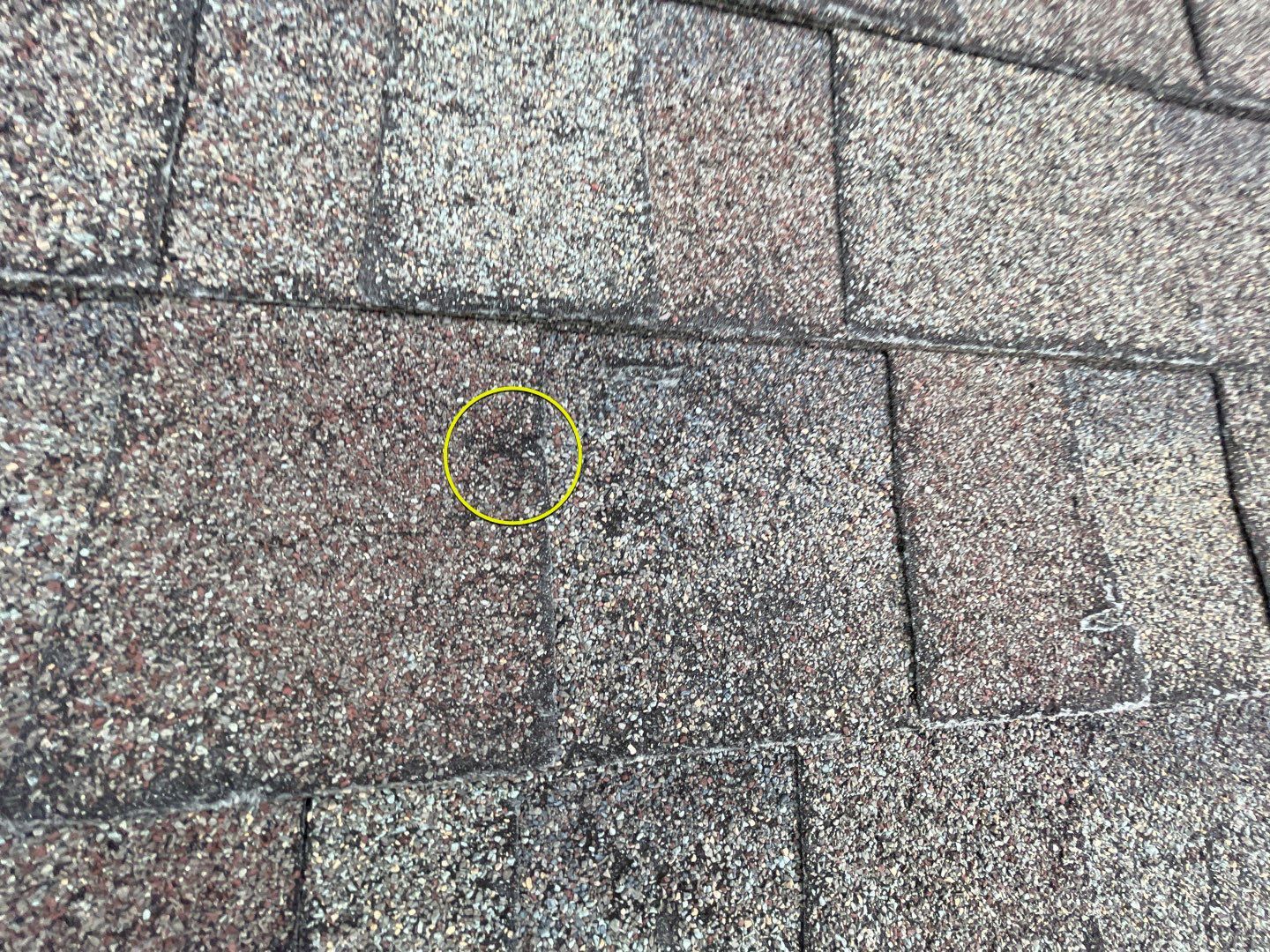 Roof Damage using Owens Corning Duration Storm by 317 Roofing & Restorations