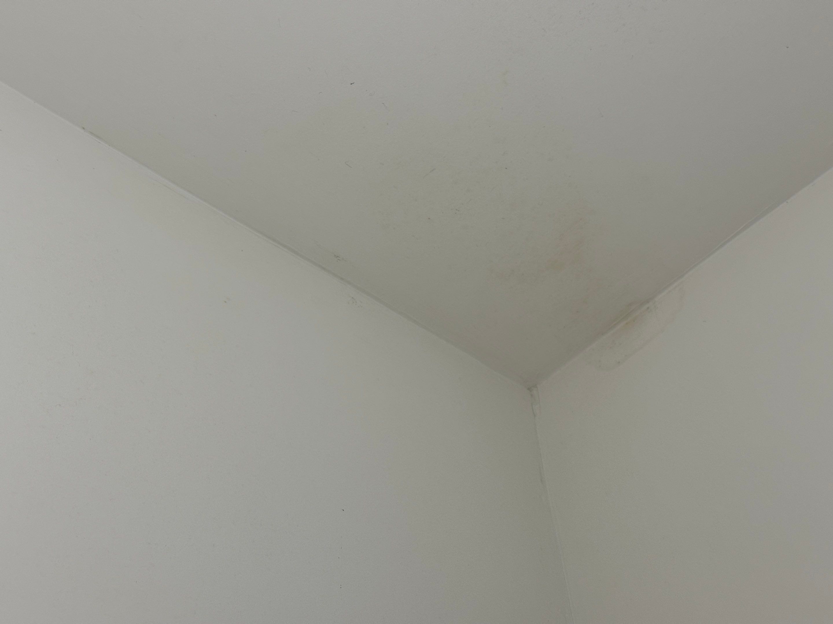 Water Damage Claim in Fernandina Beach by FLAPA & KeyStone