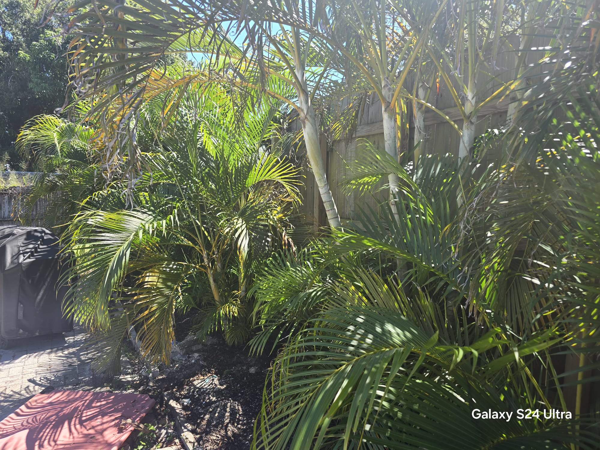 Residential Wood Privacy and Chain Link Fence Installation in Sarasota by True Fence LLC