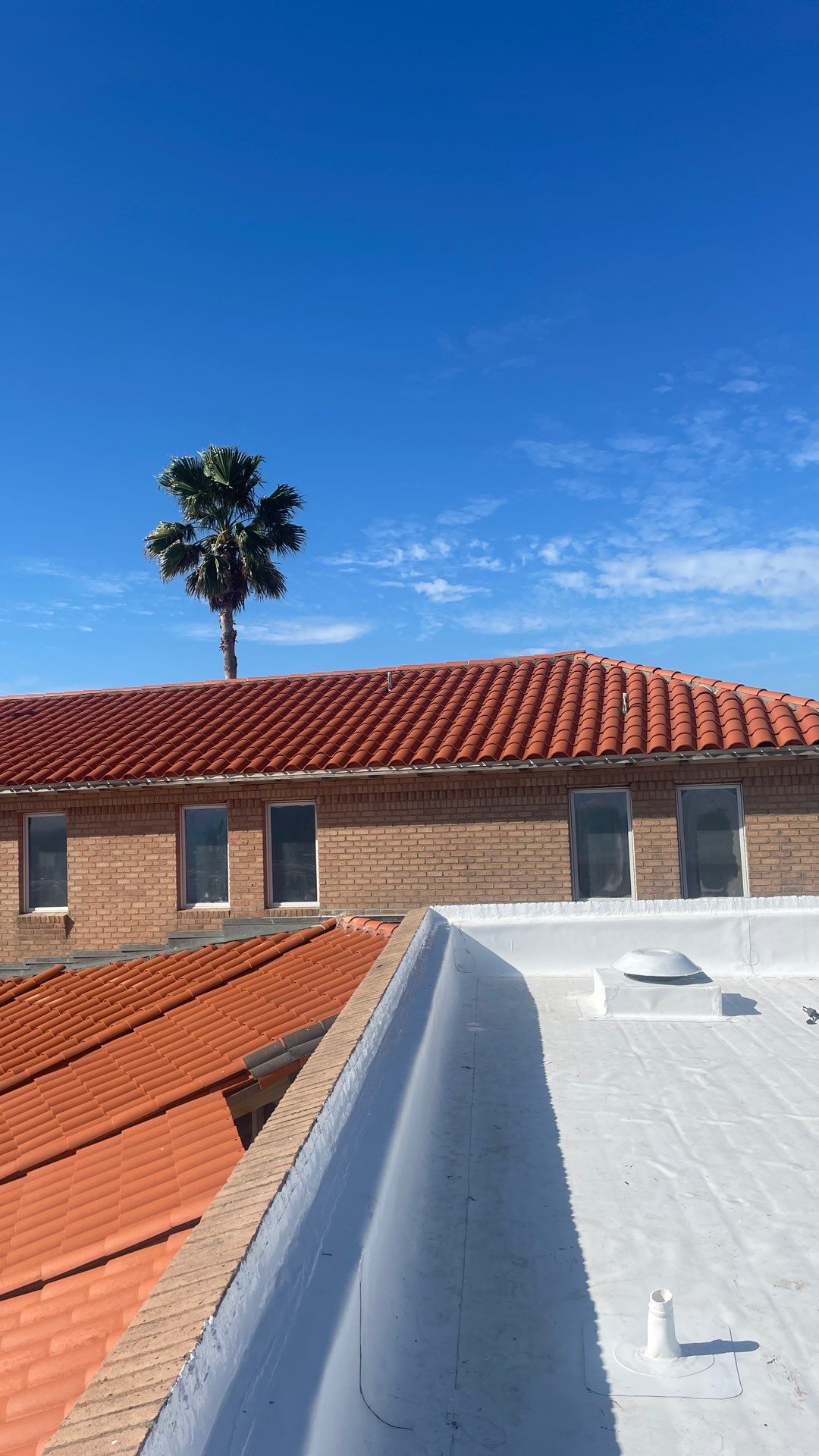 Problems in Paradise  by Bayfront Roofing and Construction