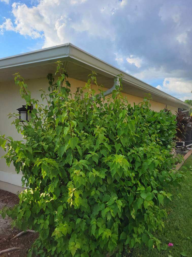 Downspout Installation using 3X4 Elbow Downspout in Cape Coral by Gutter Professors