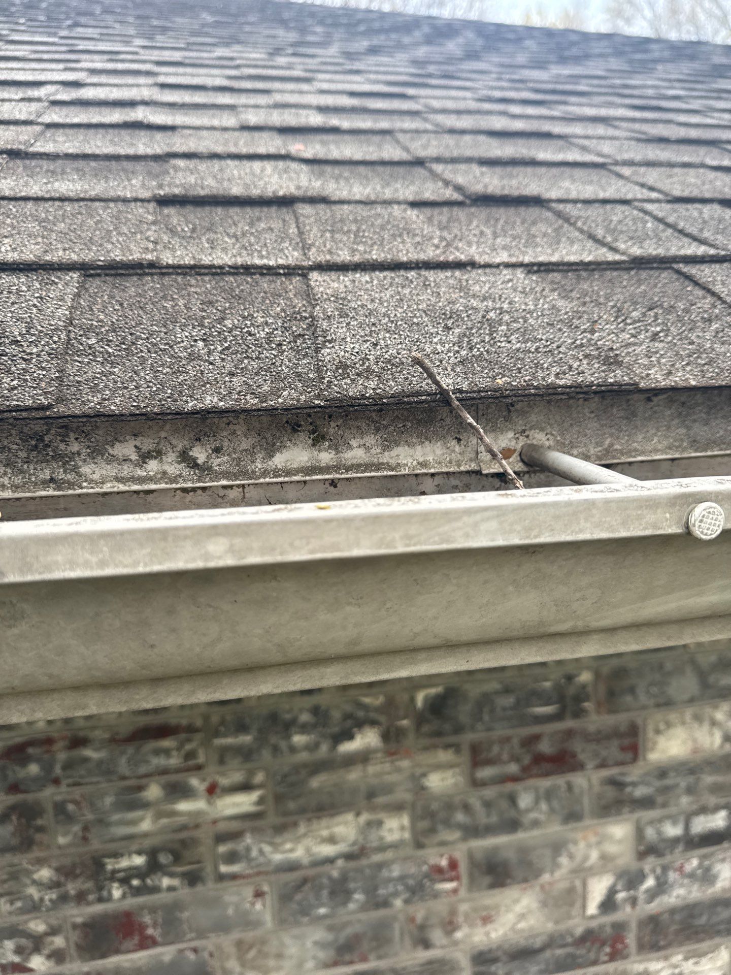 Roof Replacement & Seamless Gutters in Ozark by GoodWorks Home Co.