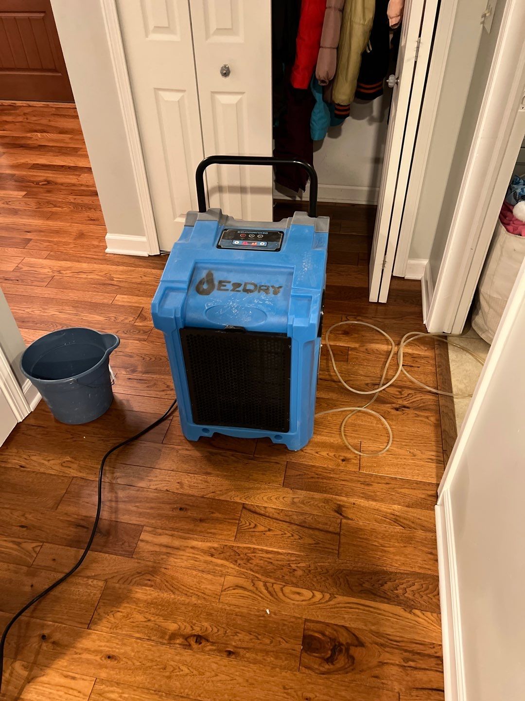 Project in Brighton by EzDry Water Mitigation & Property Restoration