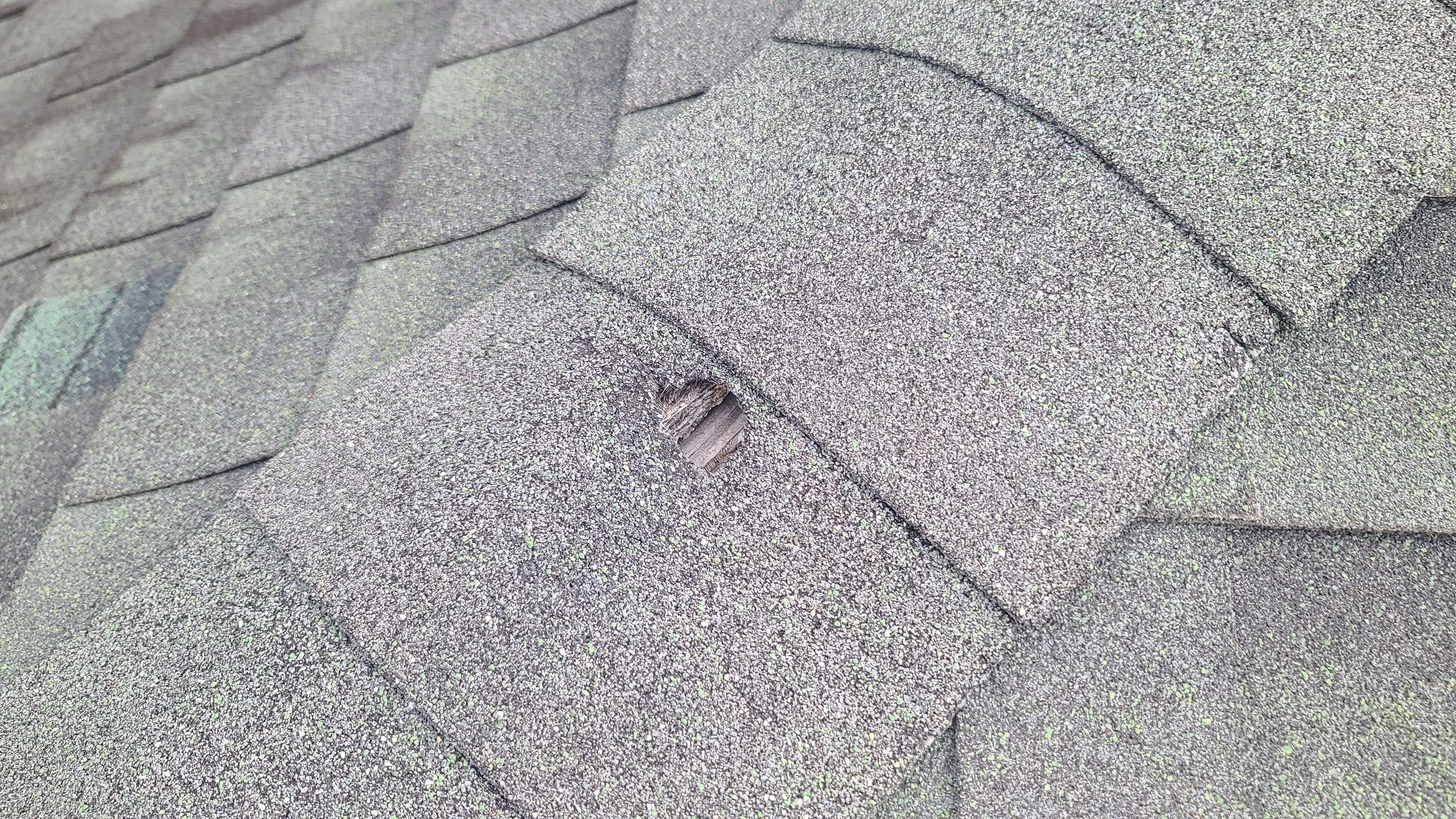 Residential Shingle Reroof using Malarkey Vista by Hostetler Roofing