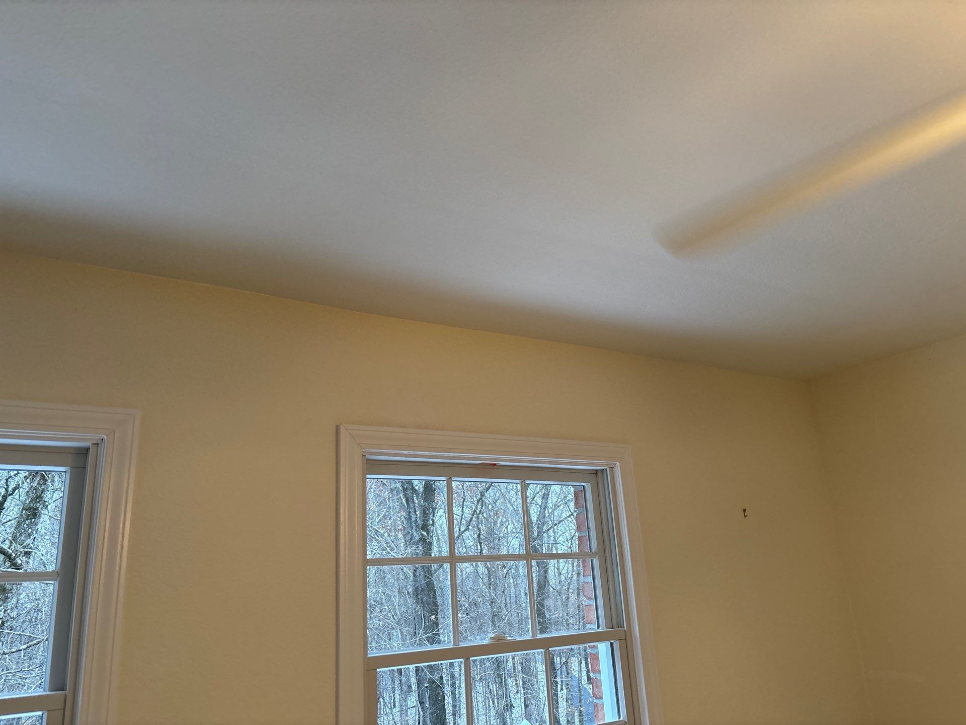 Ceiling Patch Near Cape Girardeau by Duncan Painting And Wallcovering
