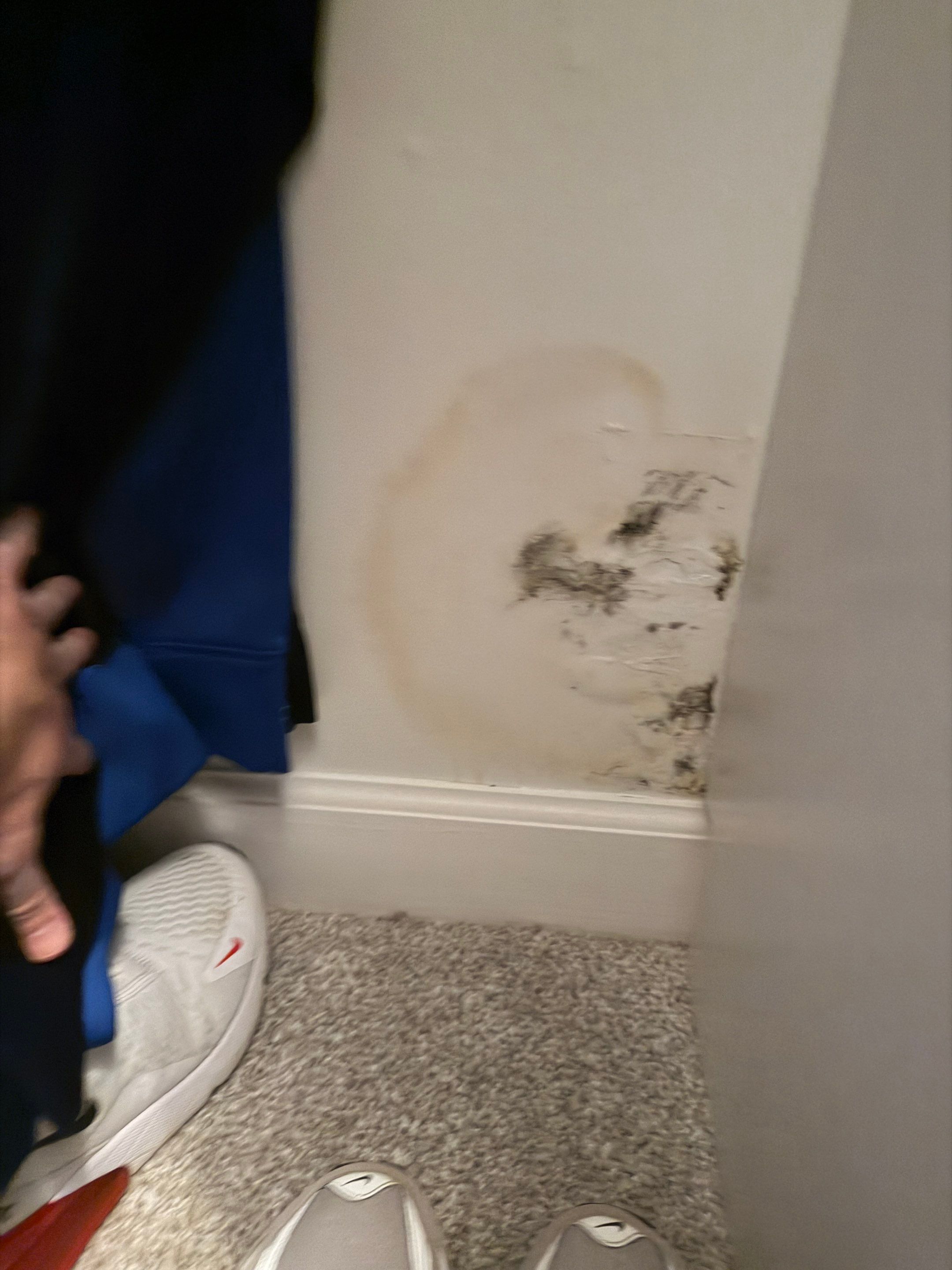 Master Closet Drywall Repair by Praise God Painting, LLC