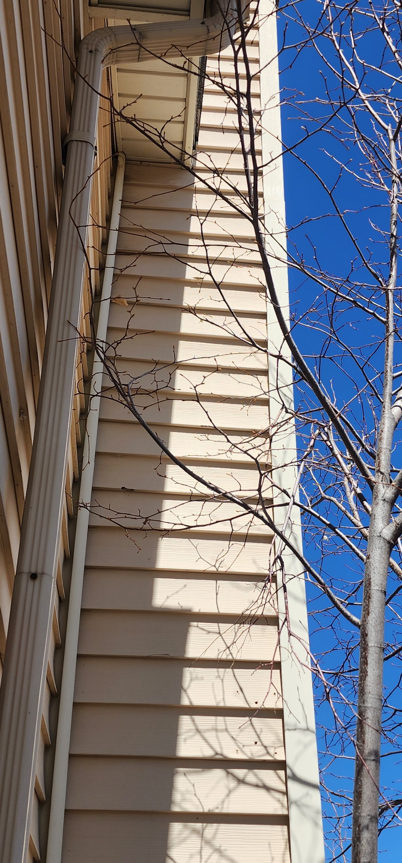 Hail Damage Inspection by 1st choice windows and siding