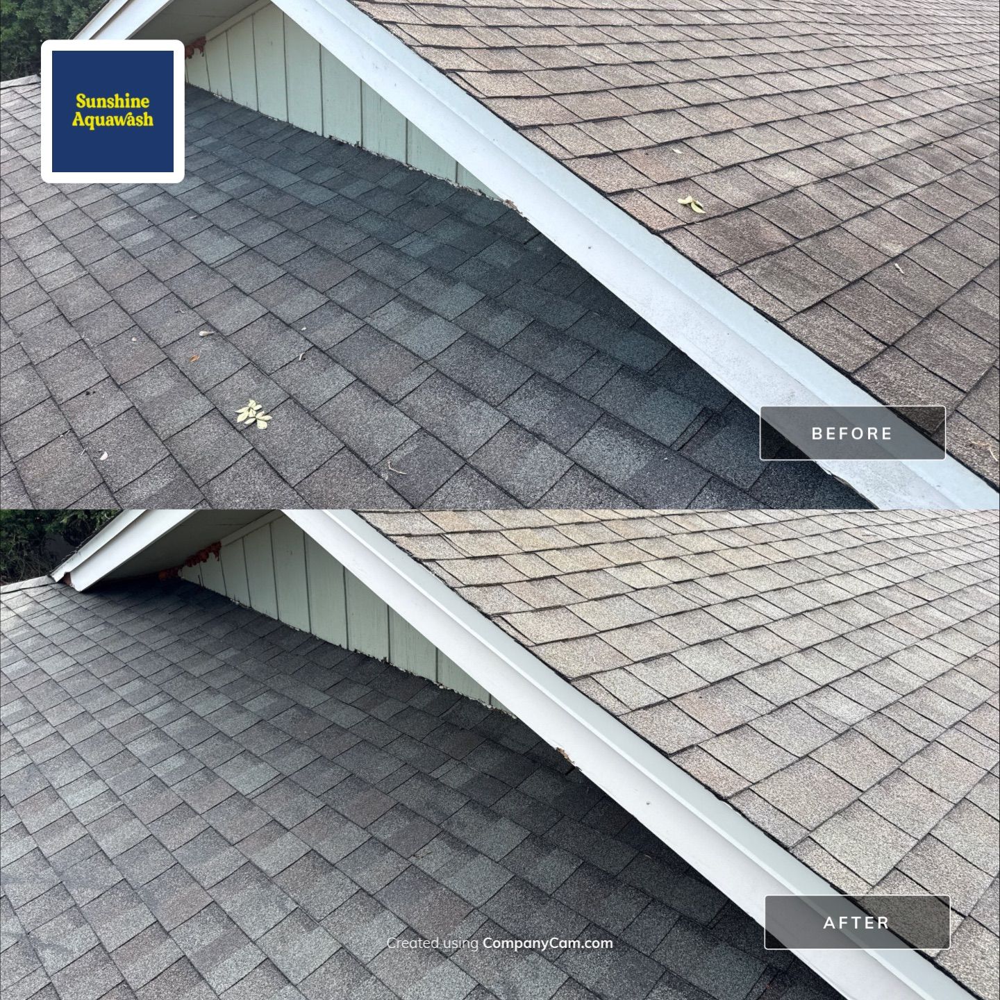 Complete Roof, Pool Deck, and Driveway Cleaning in Catalina Community, Bradenton, FL by Sunshine AquaWash