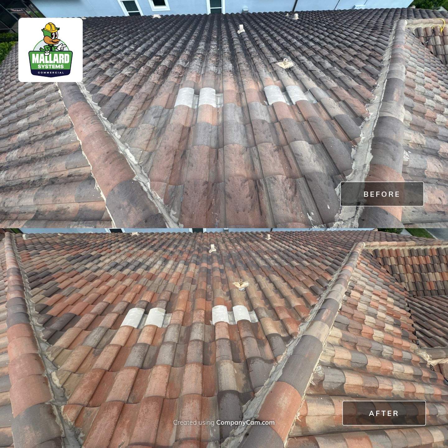Barrel Tile Roof Cleaning by Mallard Systems