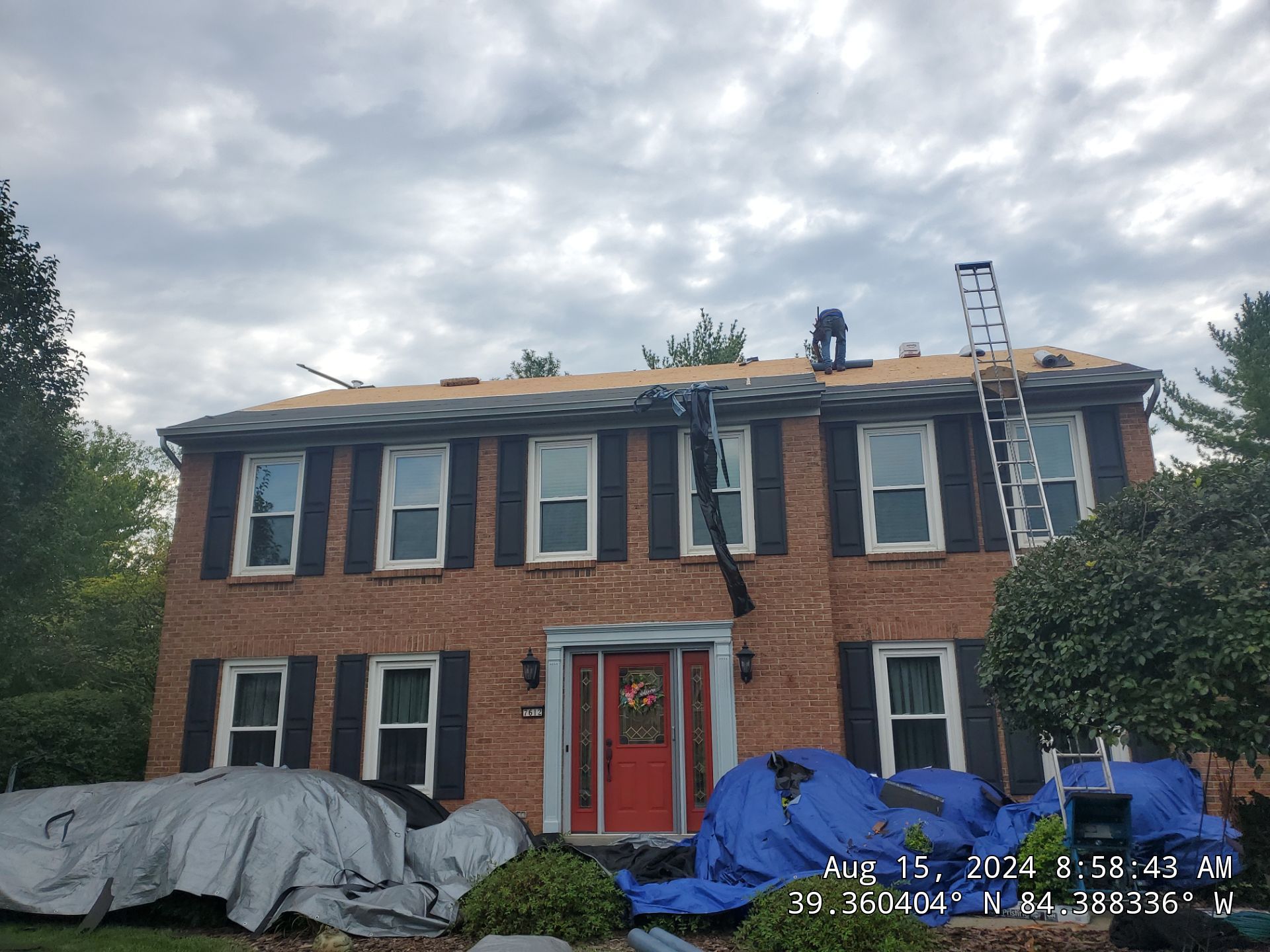 Amy by Fasto Real Estate Solutions