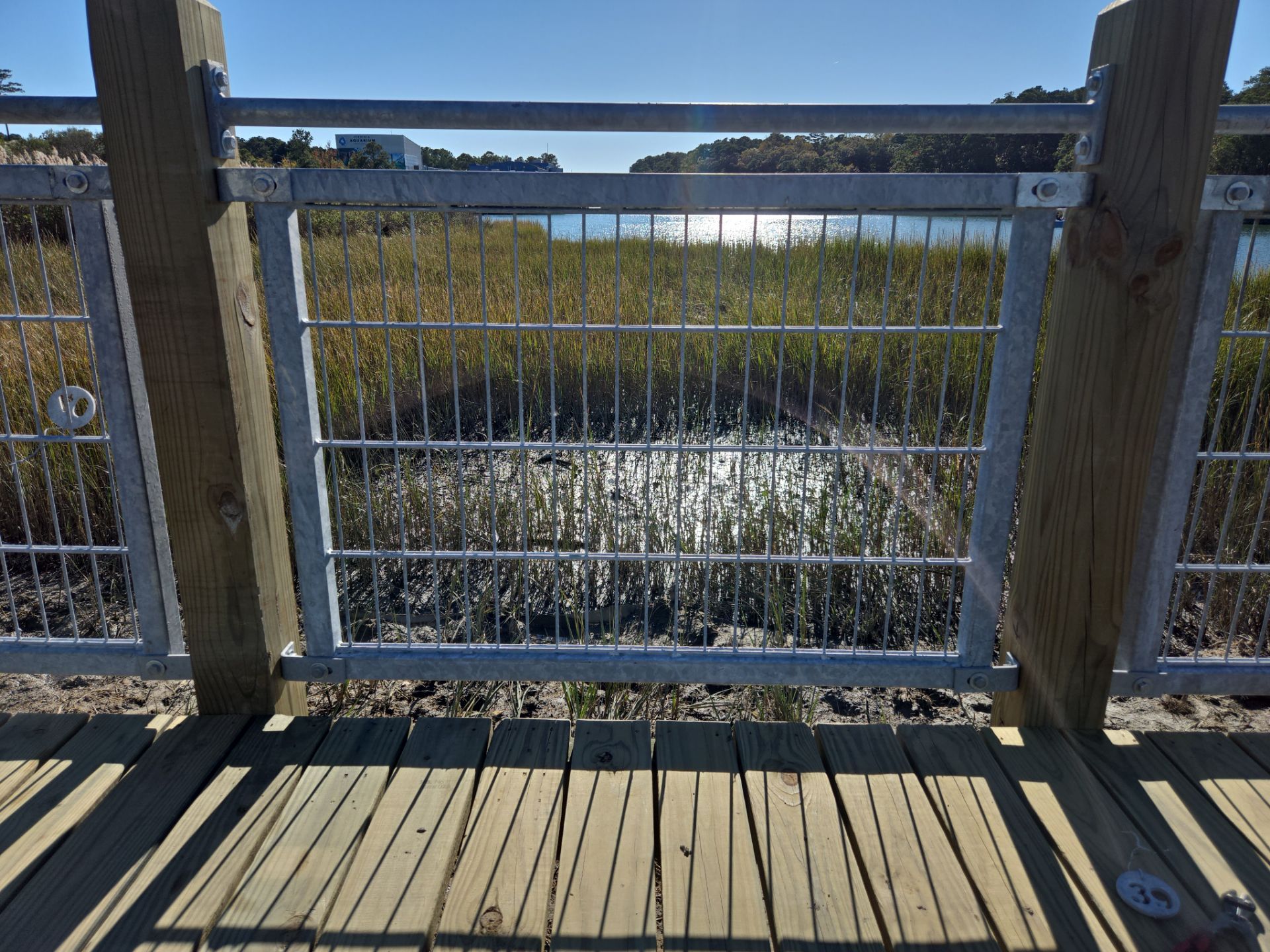 Project in Virginia Beach by Gregory Sandstrom