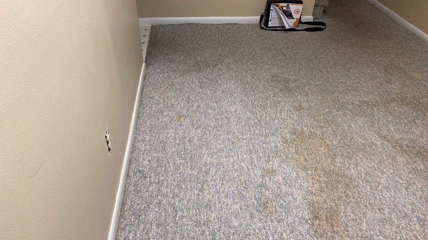 Water Damage  by Accountable Home Services