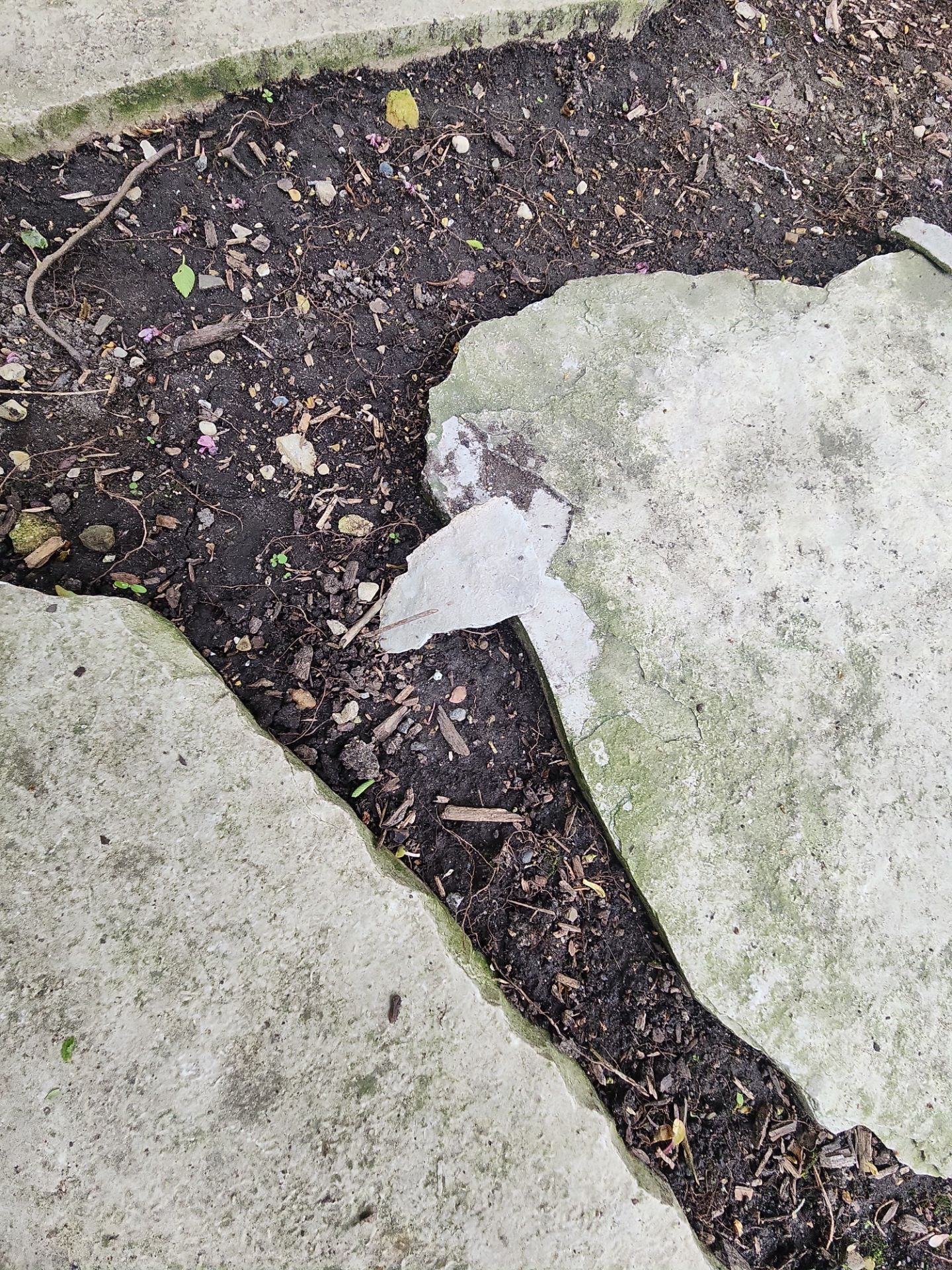 Natural Stone Surface Pressure Washing by Northern Power Washing LLC.