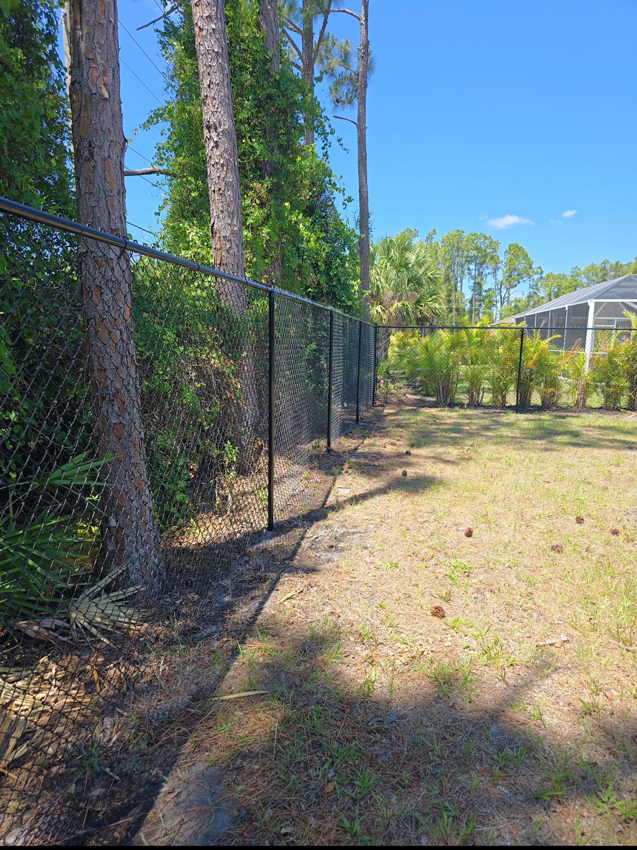 Black Chain Link Fence in North Port by True Fence LLC