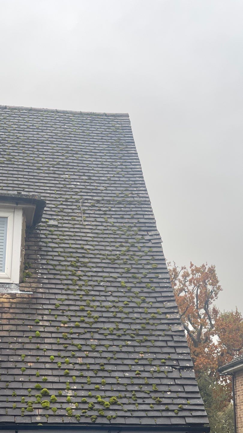 Roof Clean - Biocide Treatment using Honda 15lpm Low Pressure Washing Machine by Ges Exterior Cleaning ltd