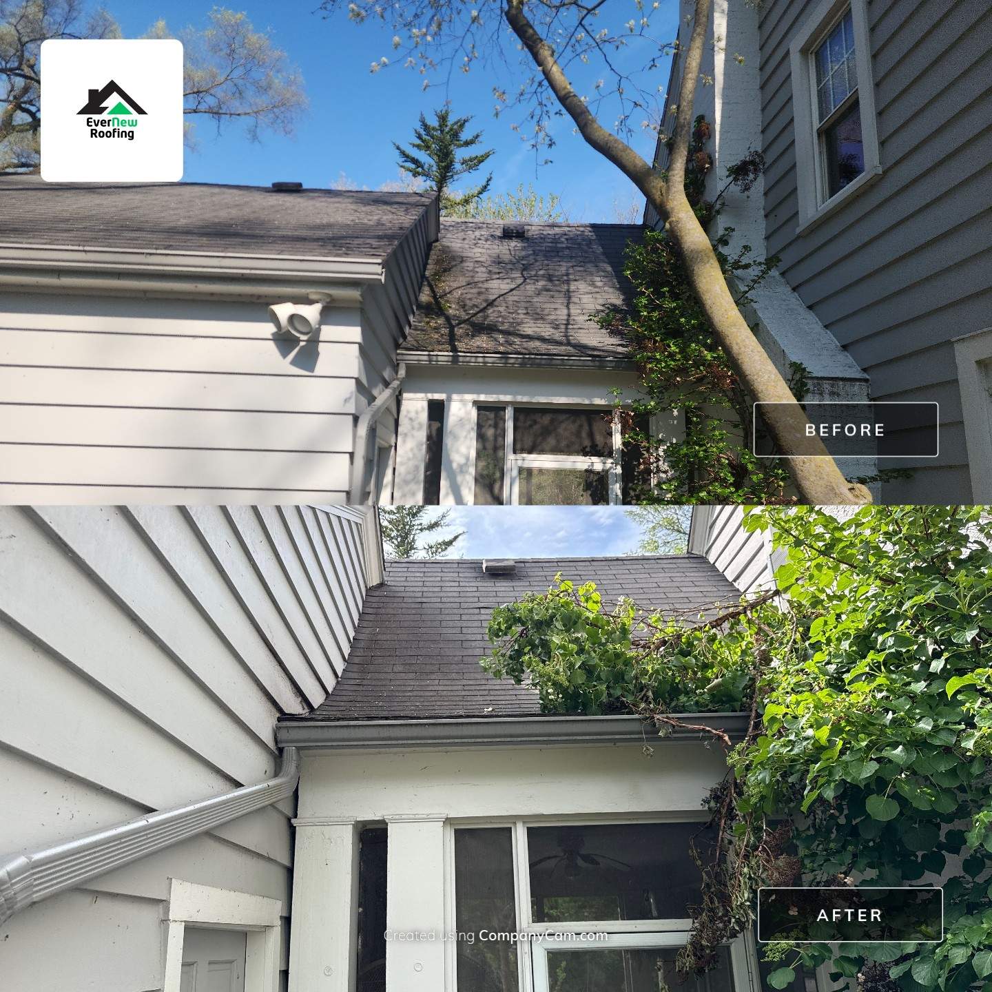 Roof Rejuvenation in Bloomfield Hills by EverNew Roofing 