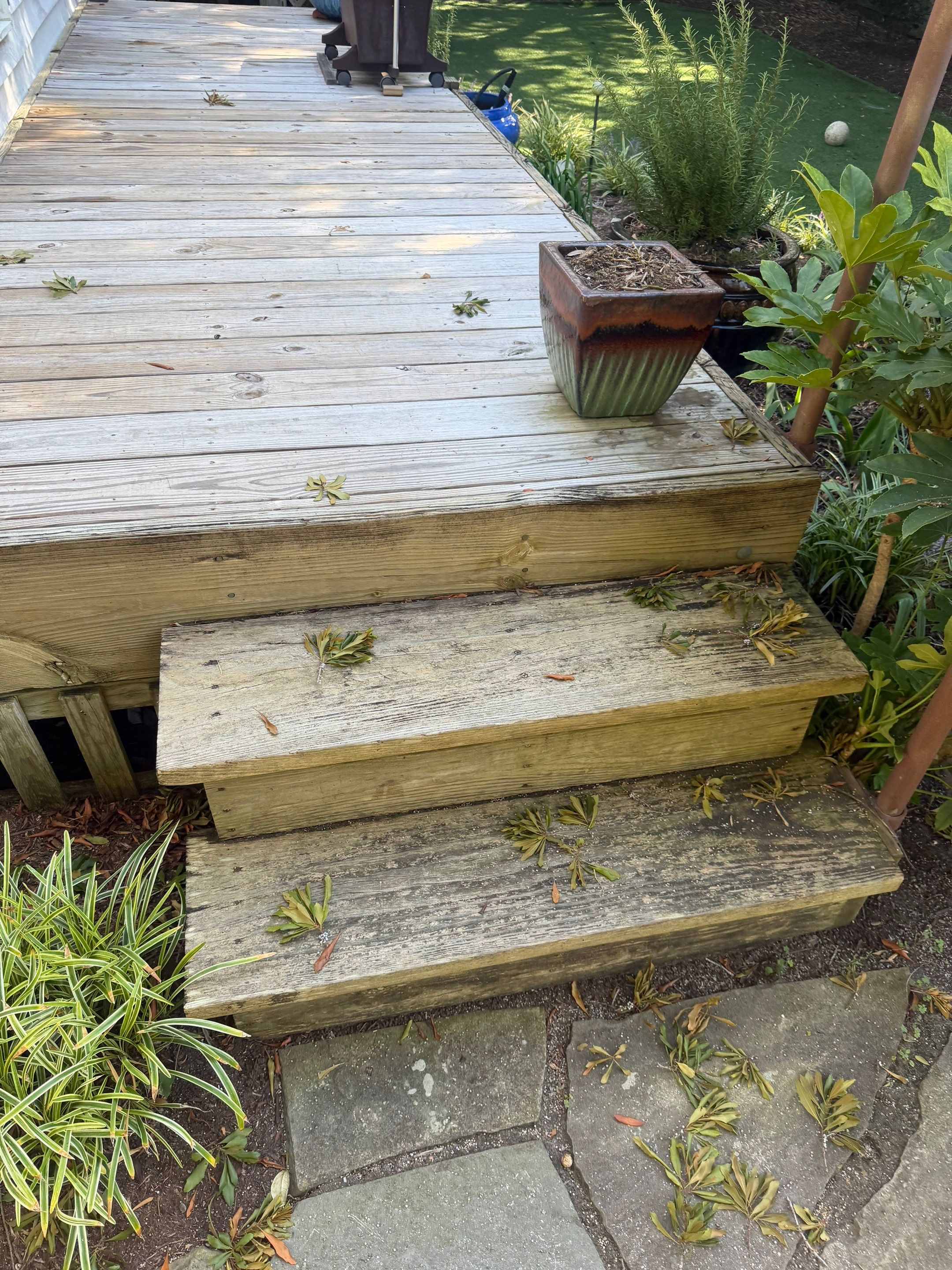 Deck using Wood Sealant by DuraSeal