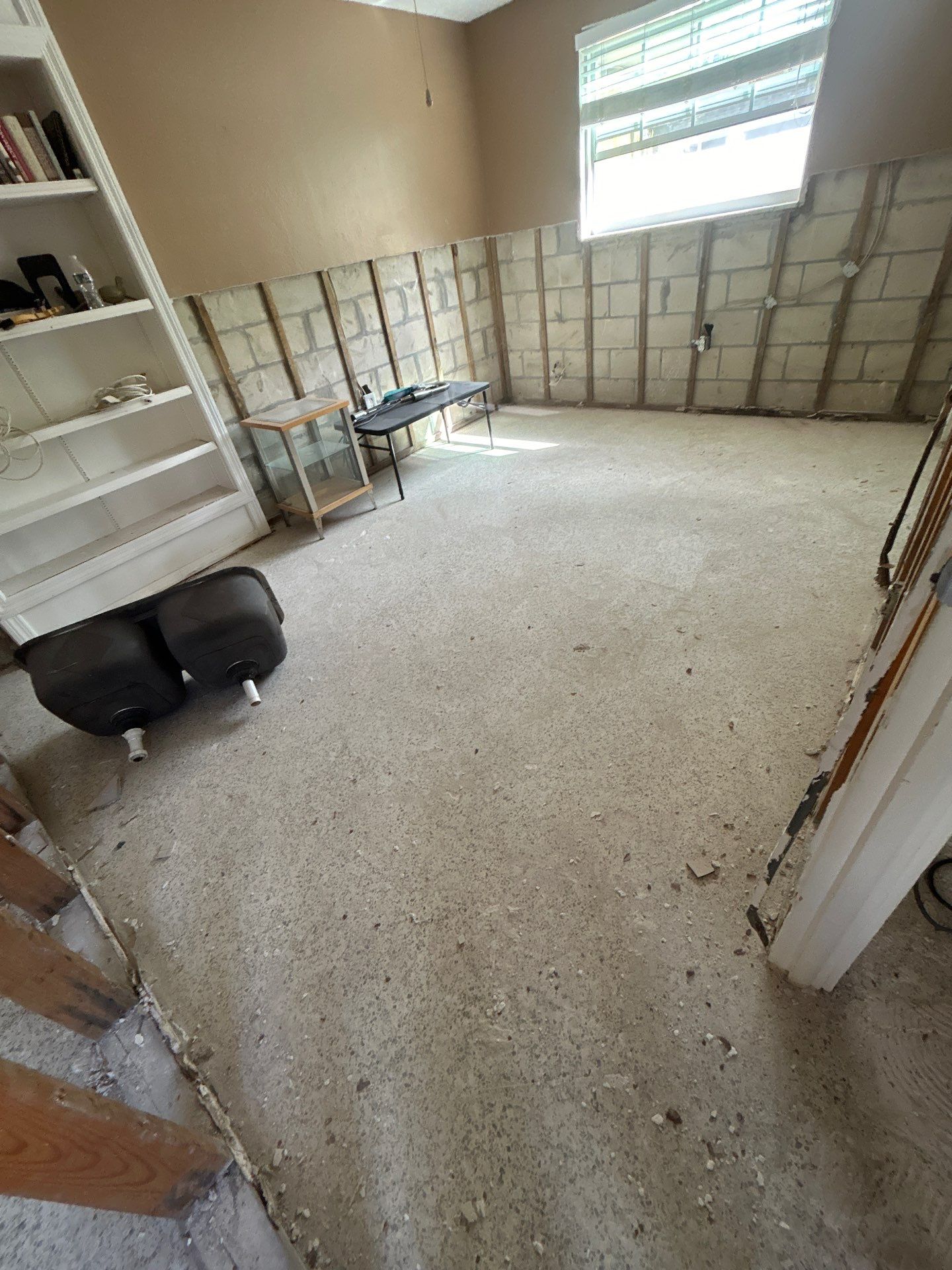 Mold Remediation + Reconstruction Bradenton by Ampm Restoration Services