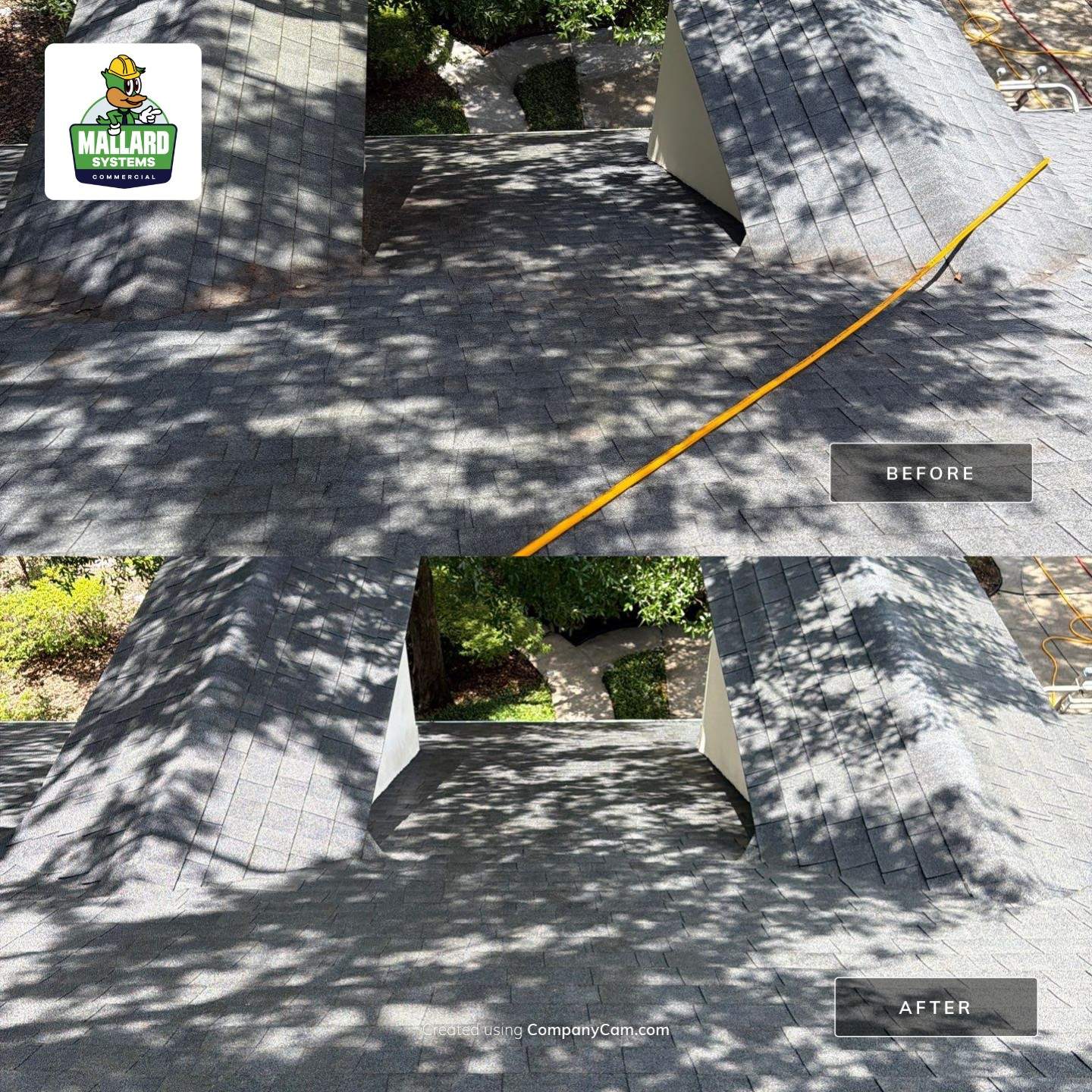 Roof, Exterior, Gutter Clean Out, Pool Deck, and Driveway Cleaning by Mallard Systems