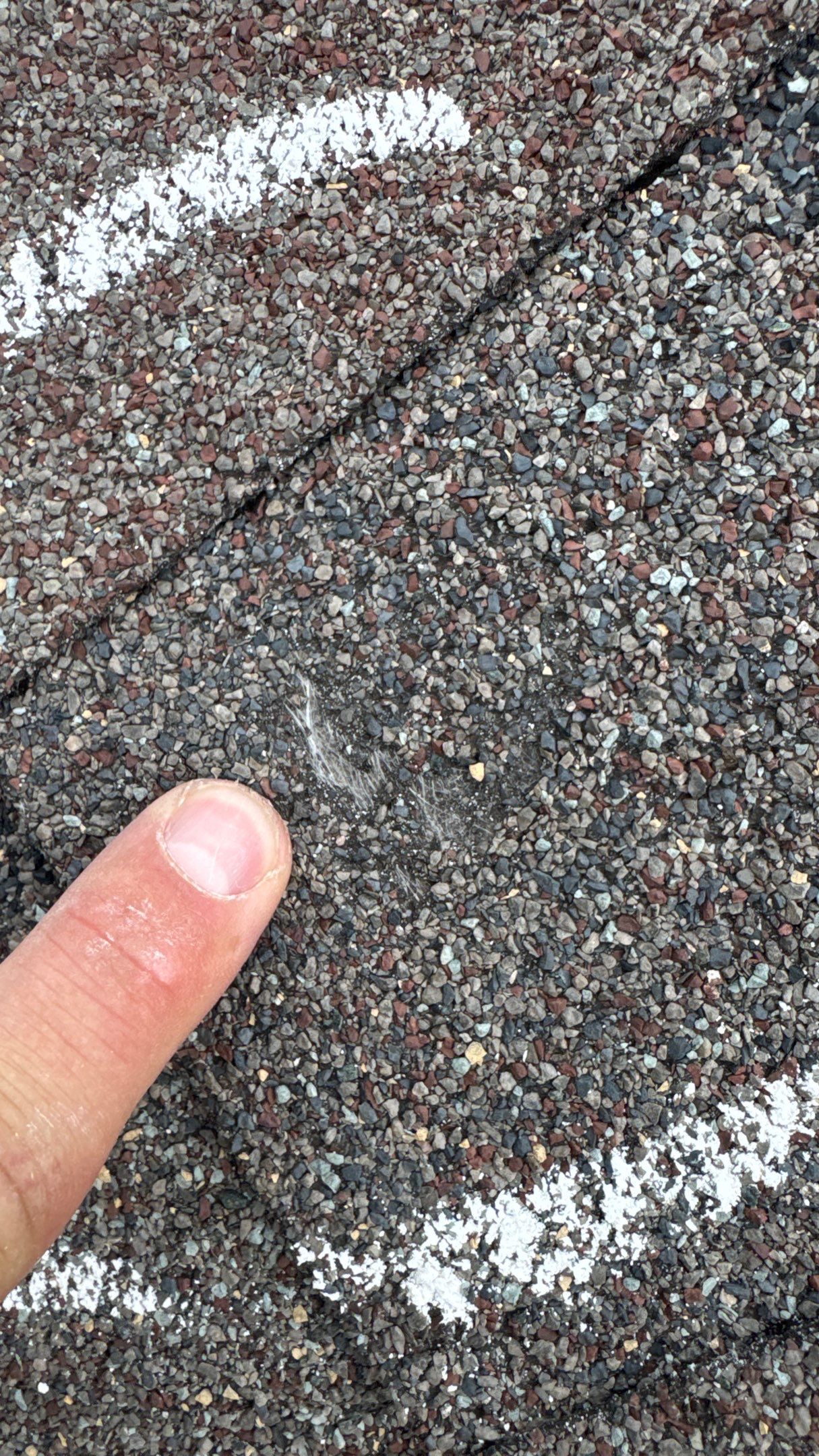 Euroshield in the Black Hills by Weather-Tite Exteriors LLC