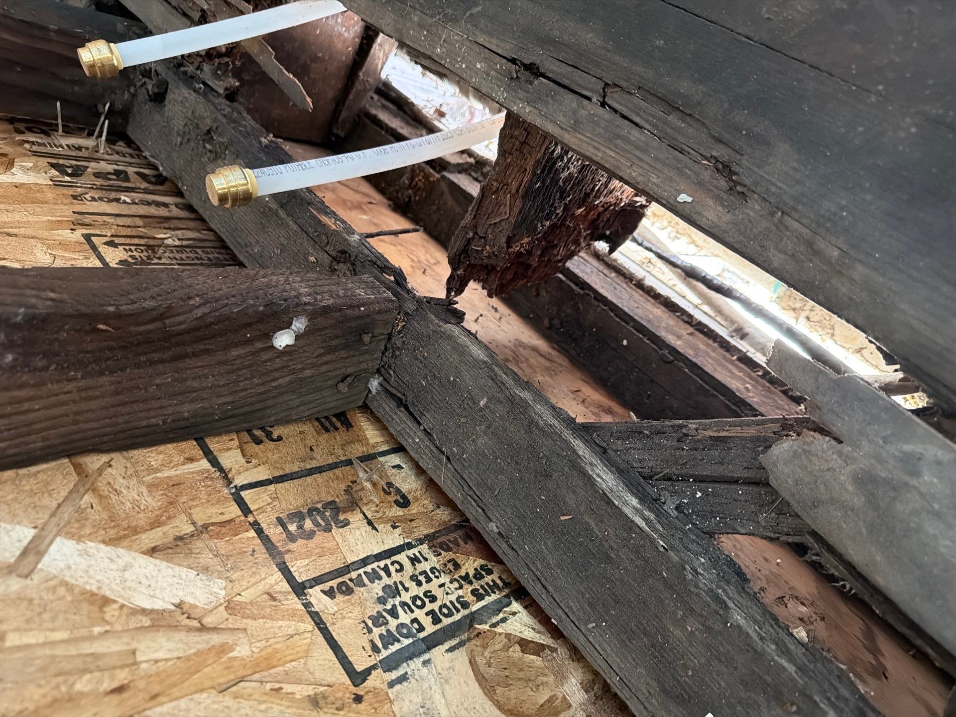 Dry Rot Repairs by Handyman State LLC