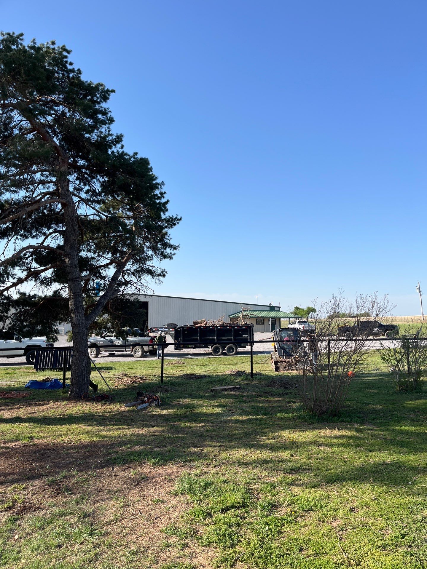 Tree Removal by Clays Services Inc