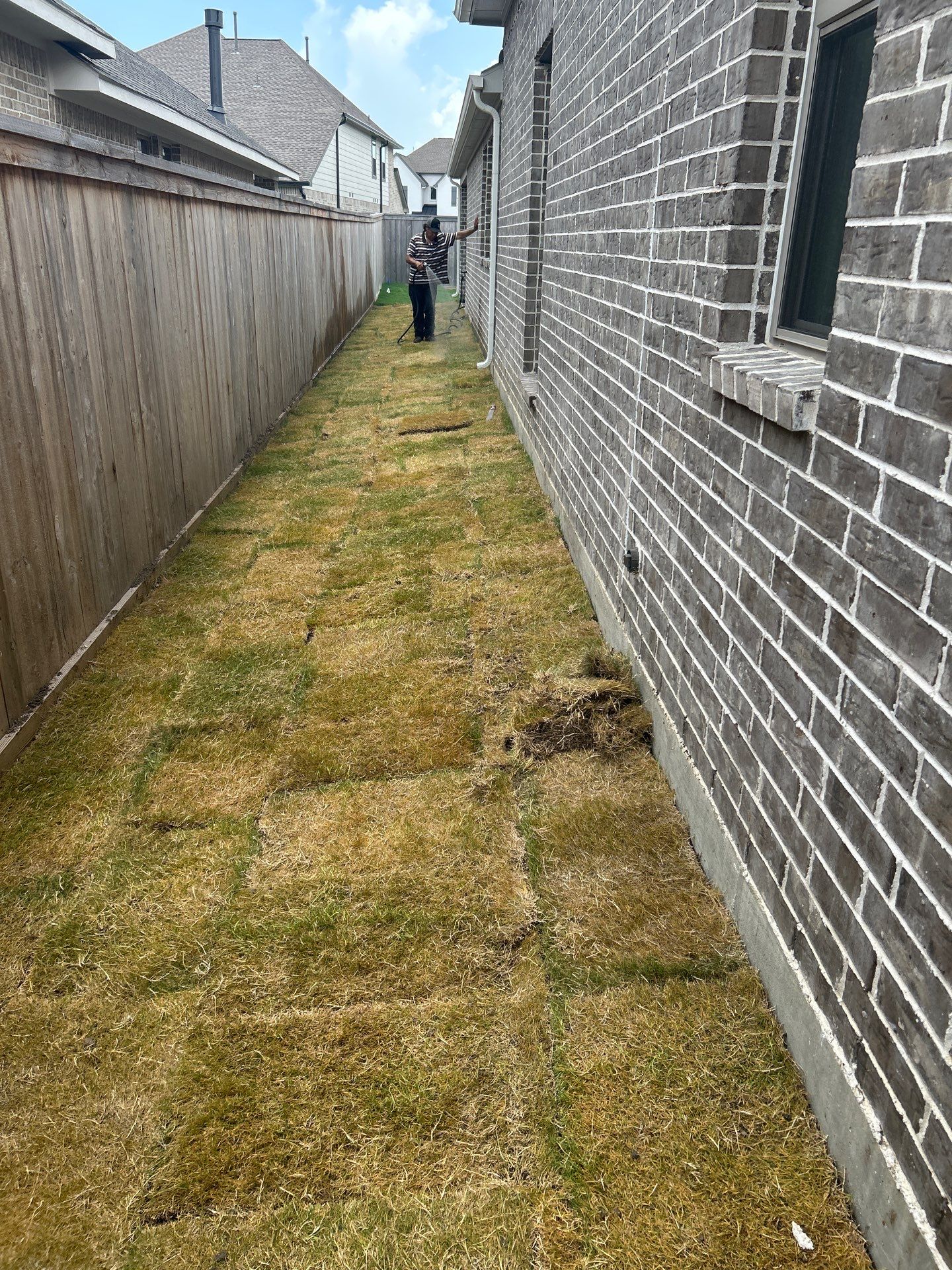 🌿 Mr. Rajaram’s Lawn Transformation by Texas Urban Elements