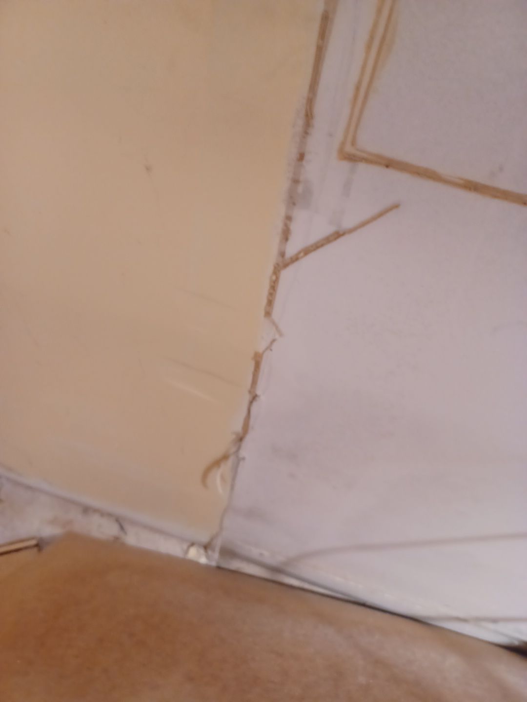 Project in Novi by EzDry Water Mitigation & Property Restoration