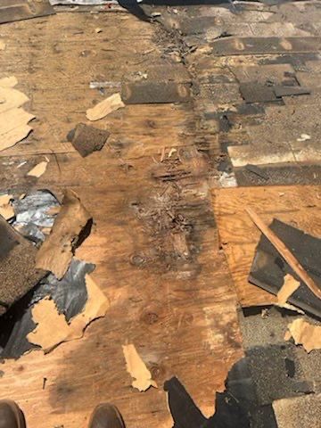 Zuriel's Full Re-Roof by All Storm Roofing & Construction