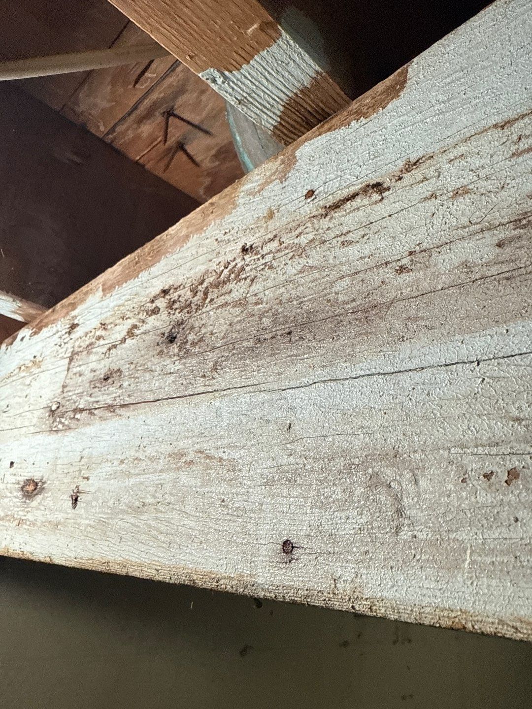 Post‑Remediation Clearance Test & Corrective Mold Remediation, Dover, DE. by Healthy Home Solutions