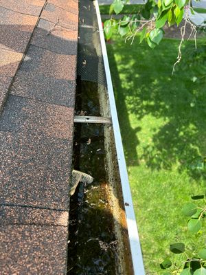 Why Braceville Gutters Clog and Ice Up