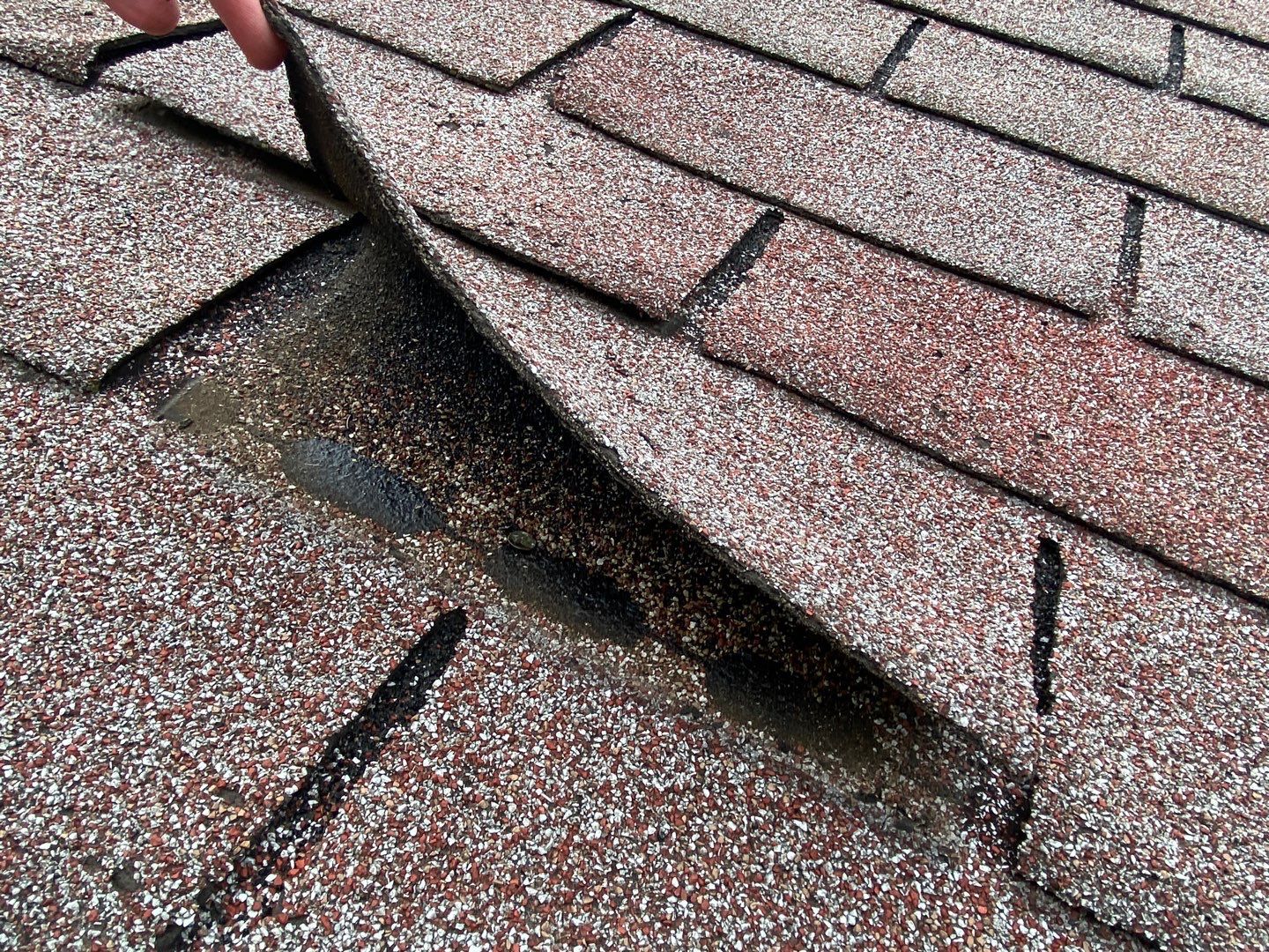 Asphalt Roof, Vinyl Siding, and Aluminum Gutter Replacement by Custom Installations